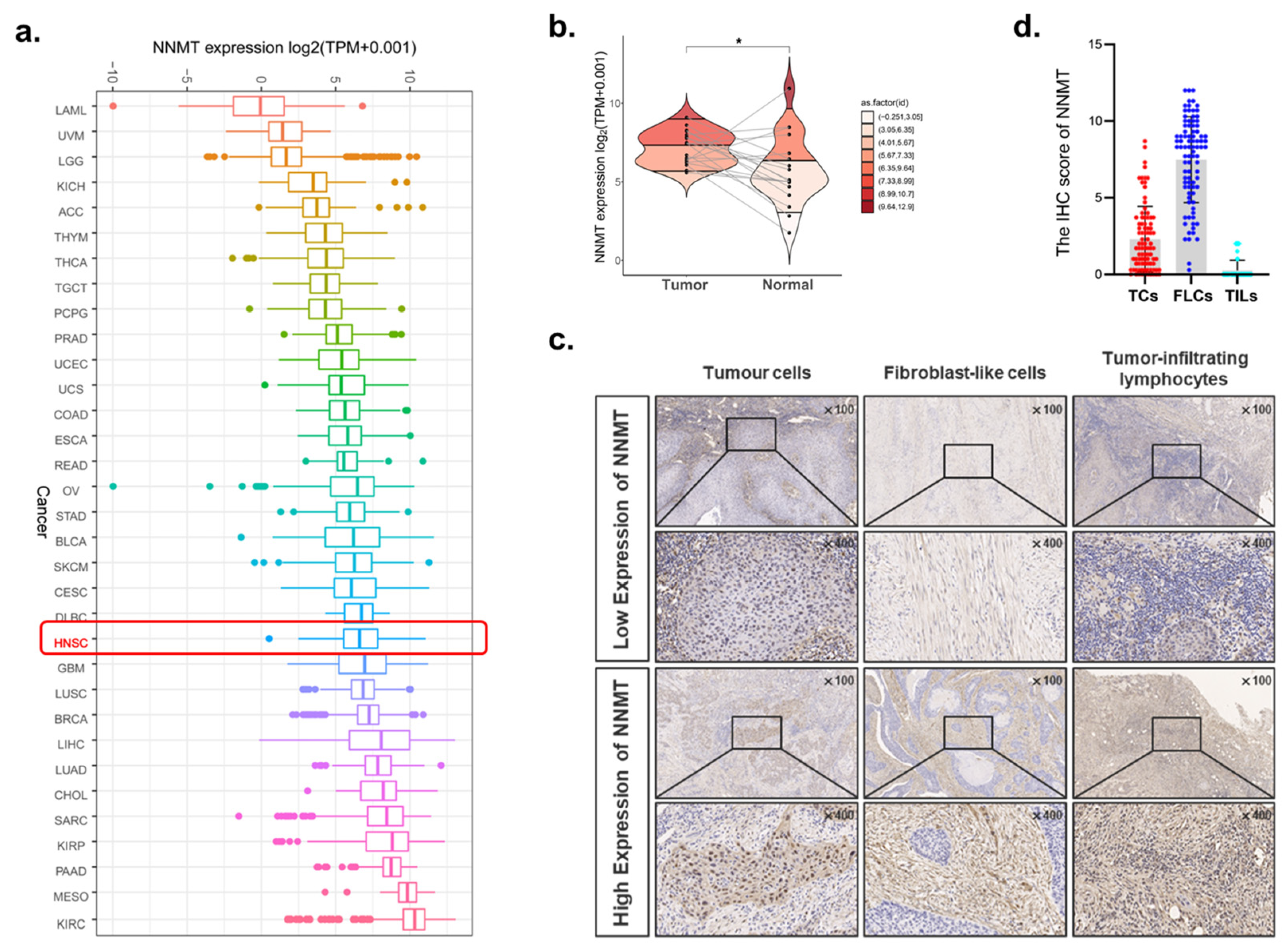 Biomolecules 12 01487 g002 Biomolecules 12 01487 g002