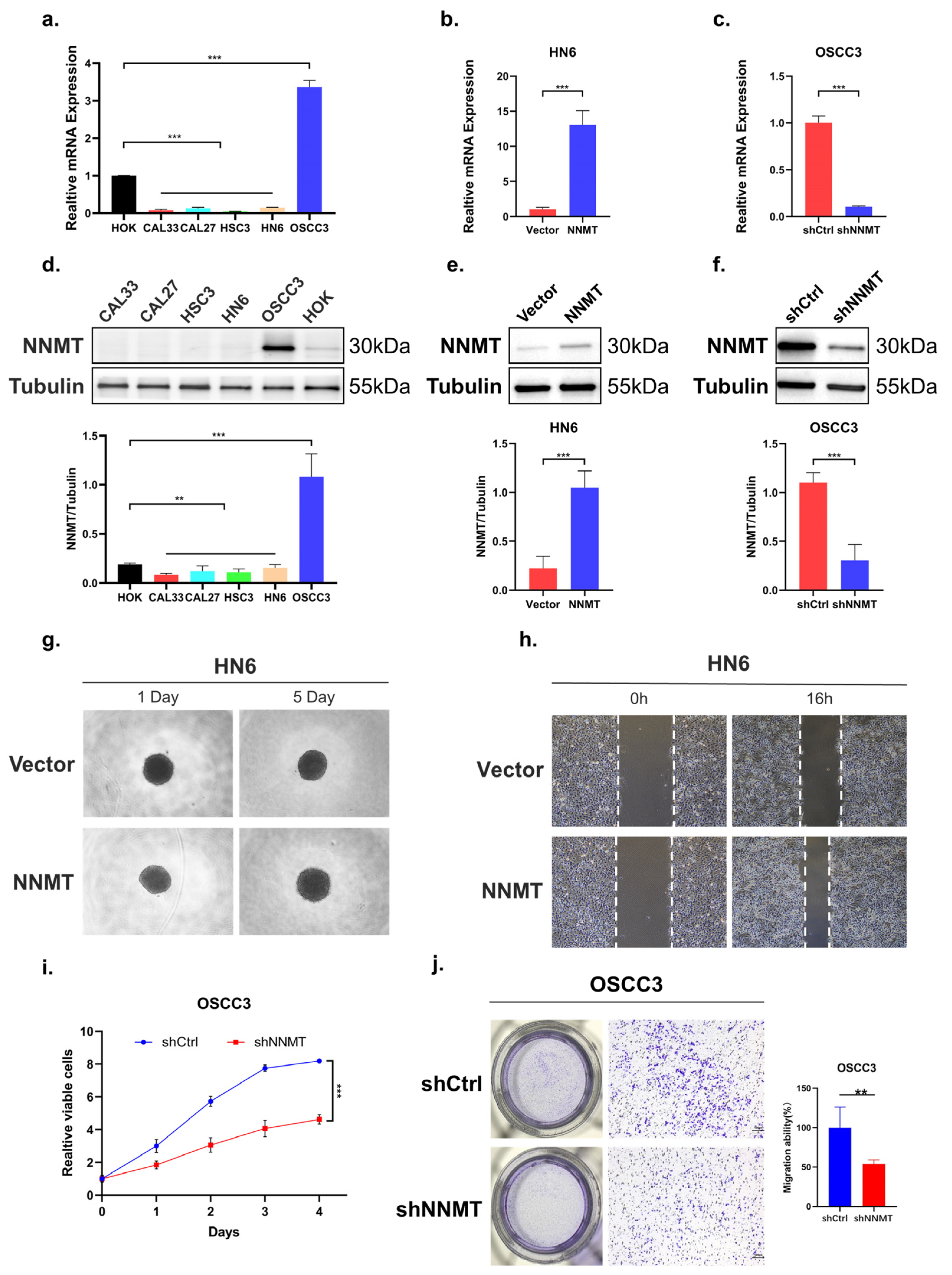 Biomolecules 12 01487 g005 Biomolecules 12 01487 g005