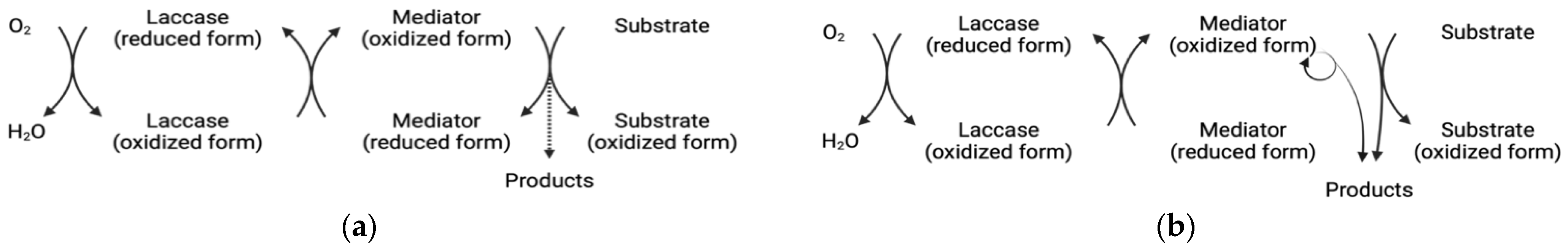 Biomolecules 12 01489 g003 Biomolecules 12 01489 g003