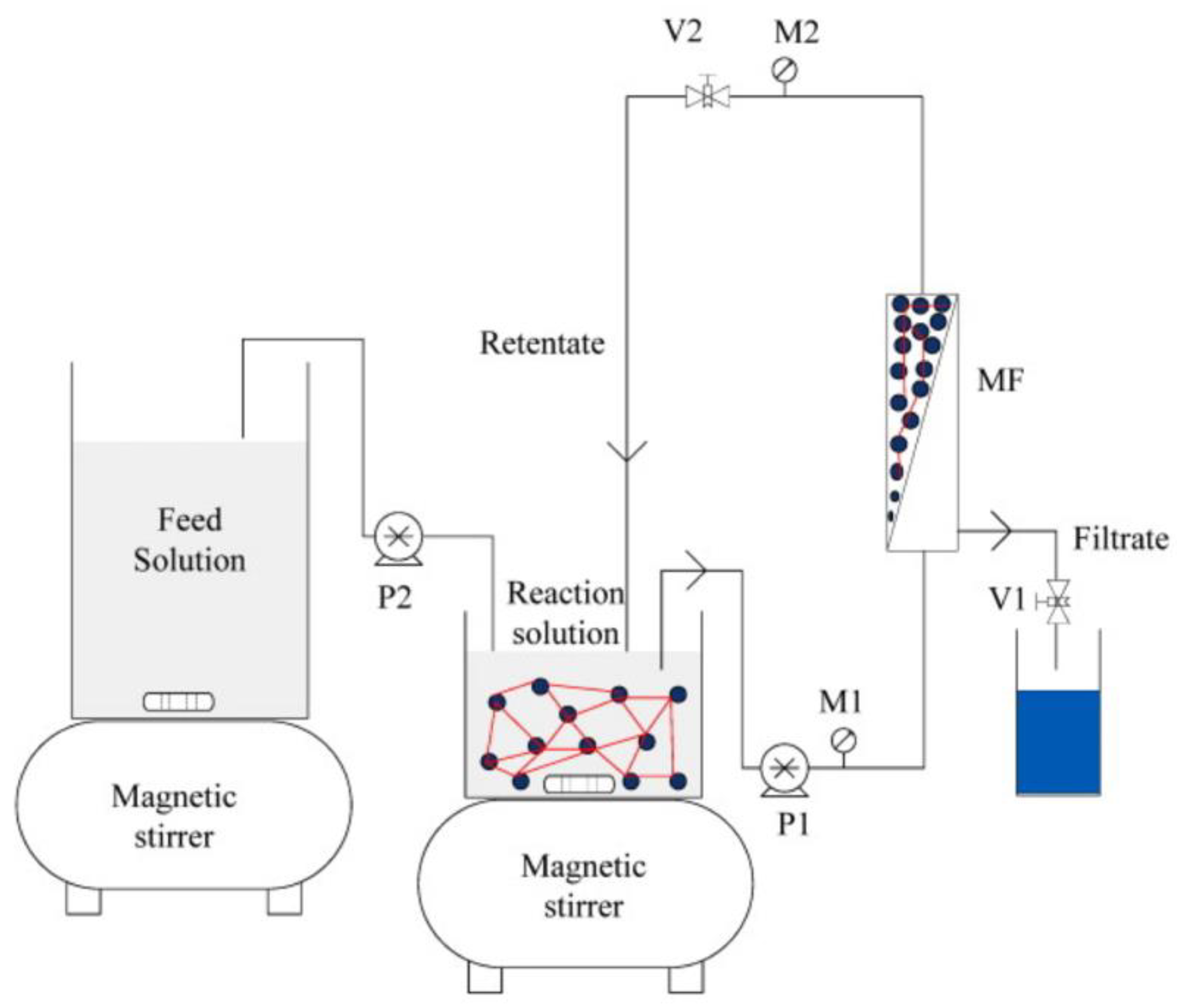 Biomolecules 12 01489 g004 Biomolecules 12 01489 g004