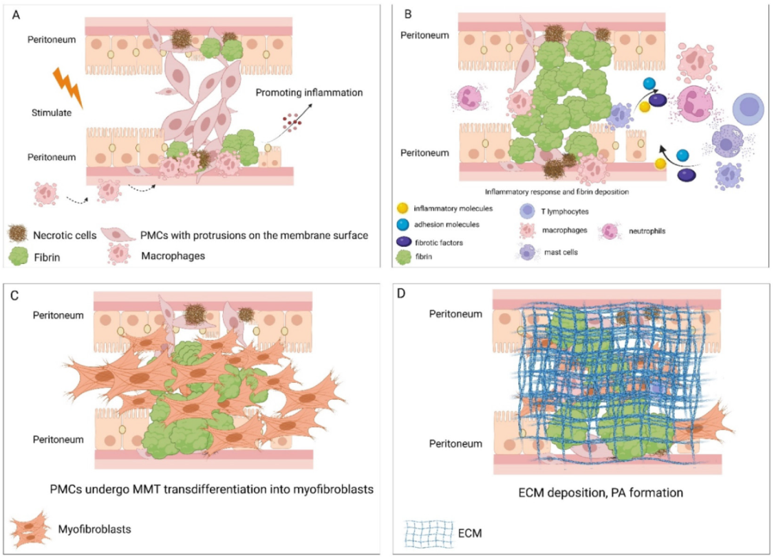 Biomolecules 12 01498 g001