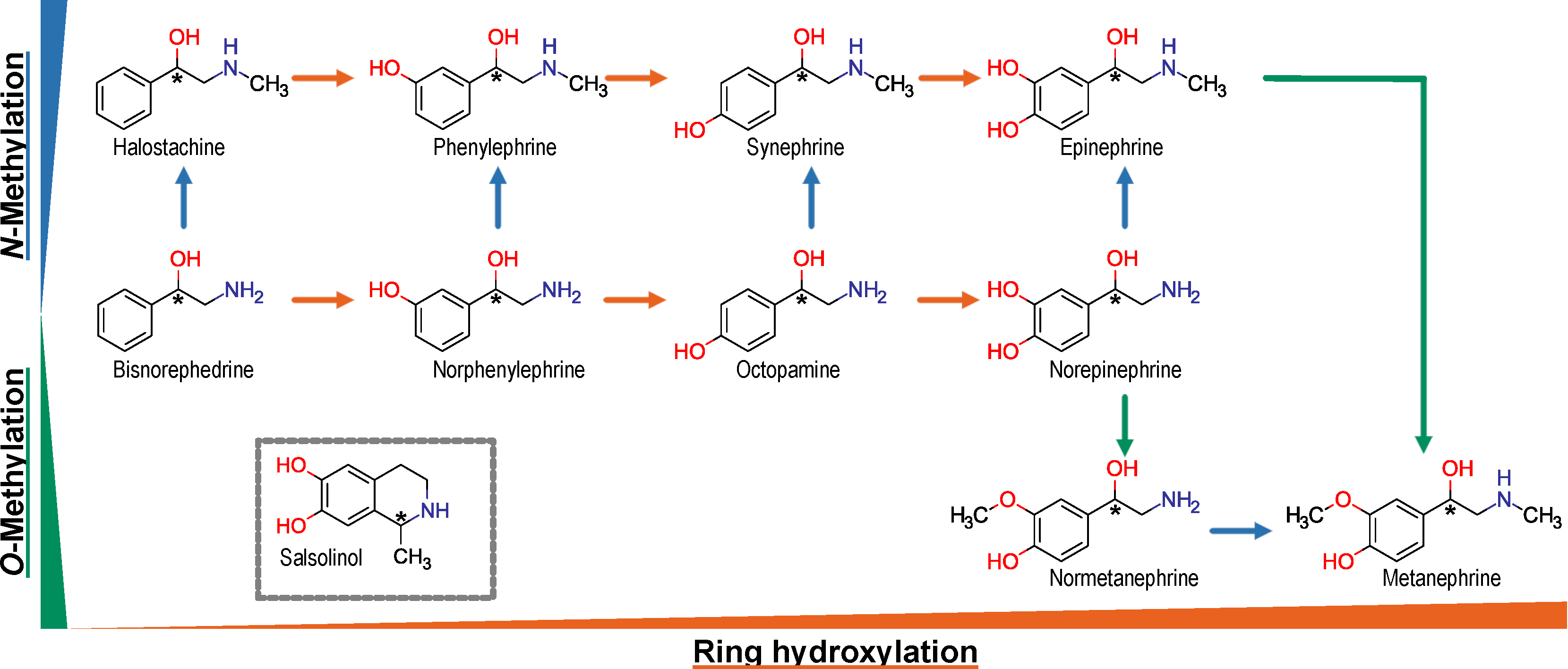 Biomolecules 12 01507 g001