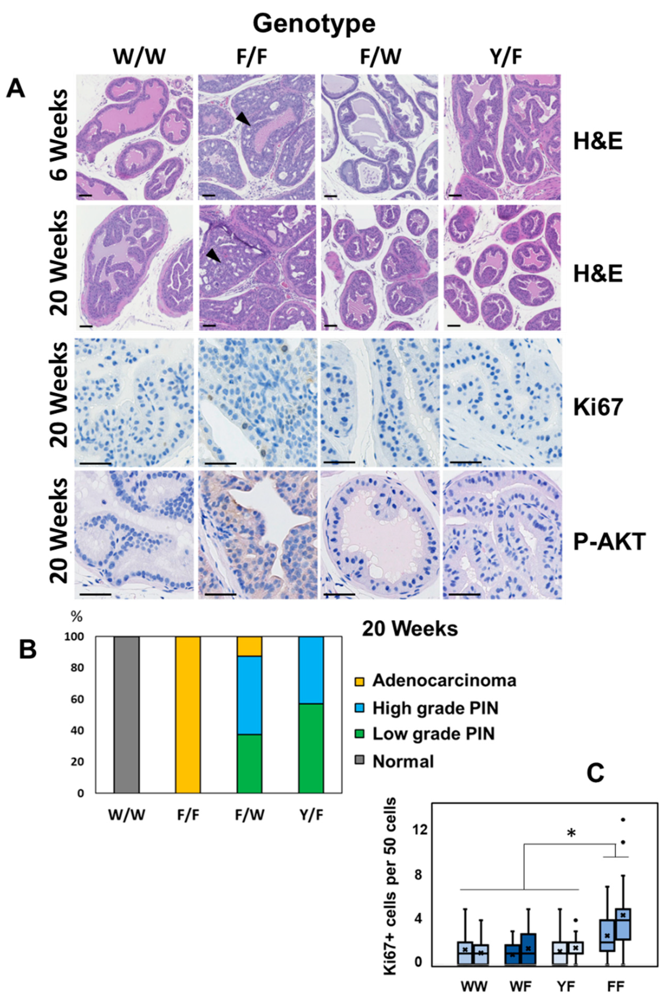 Biomolecules 12 01511 g002