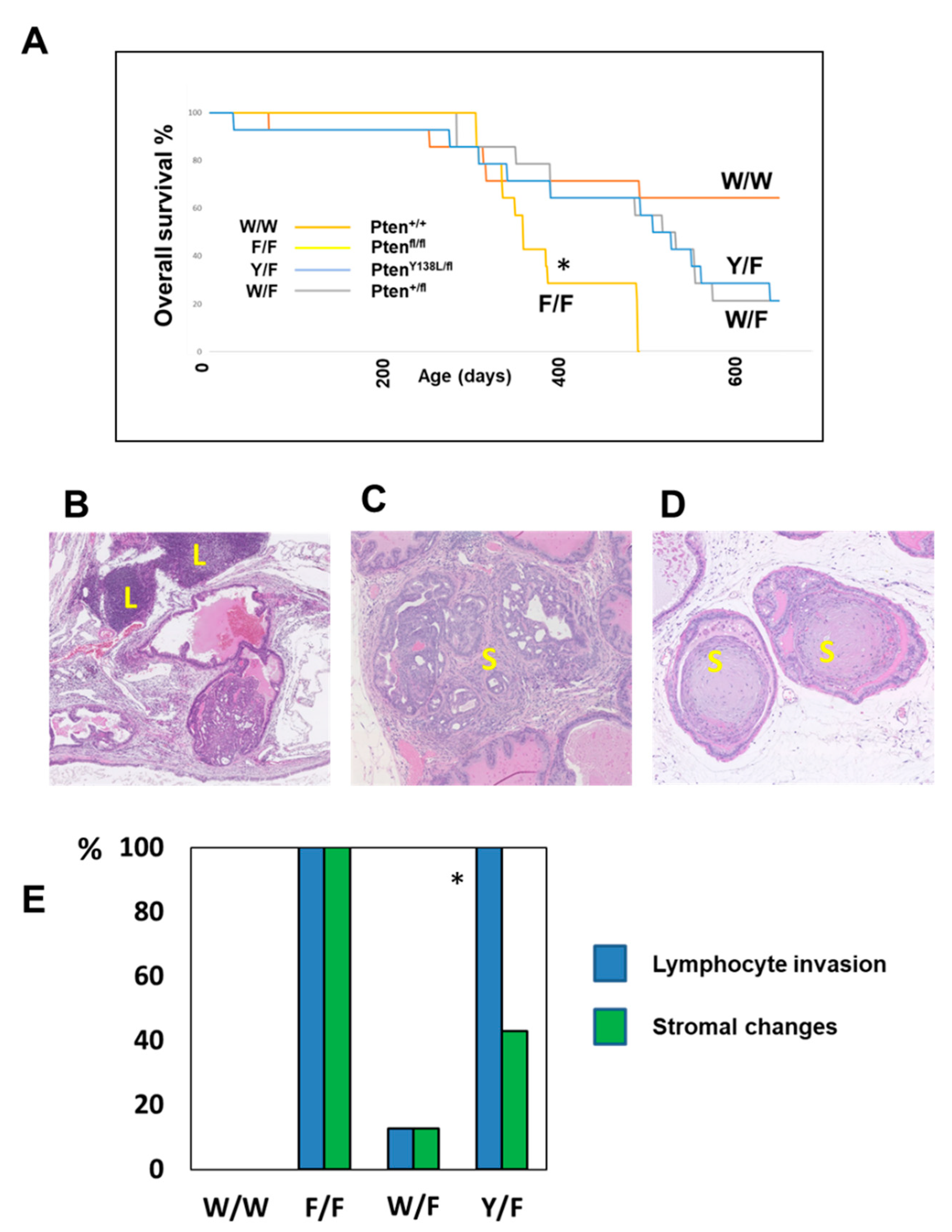 Biomolecules 12 01511 g004