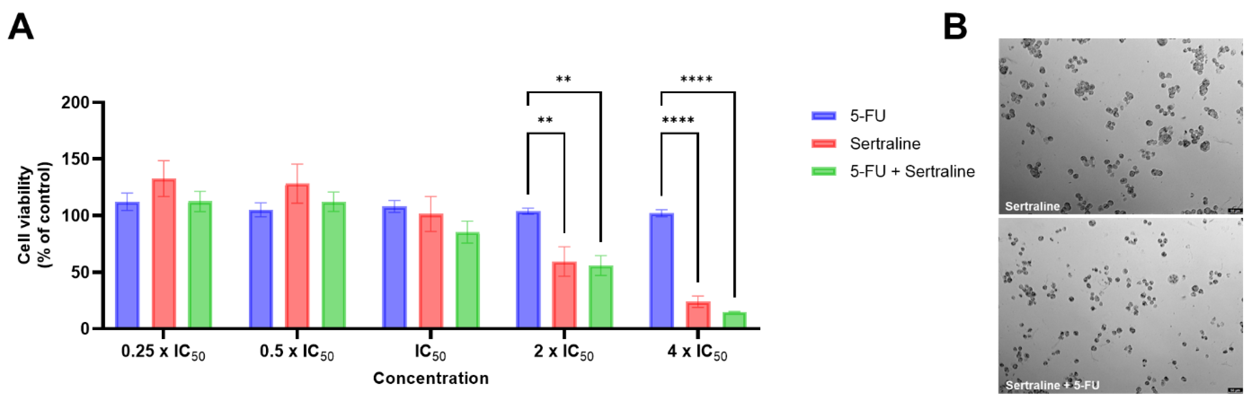 Biomolecules 12 01513 g004 Biomolecules 12 01513 g004