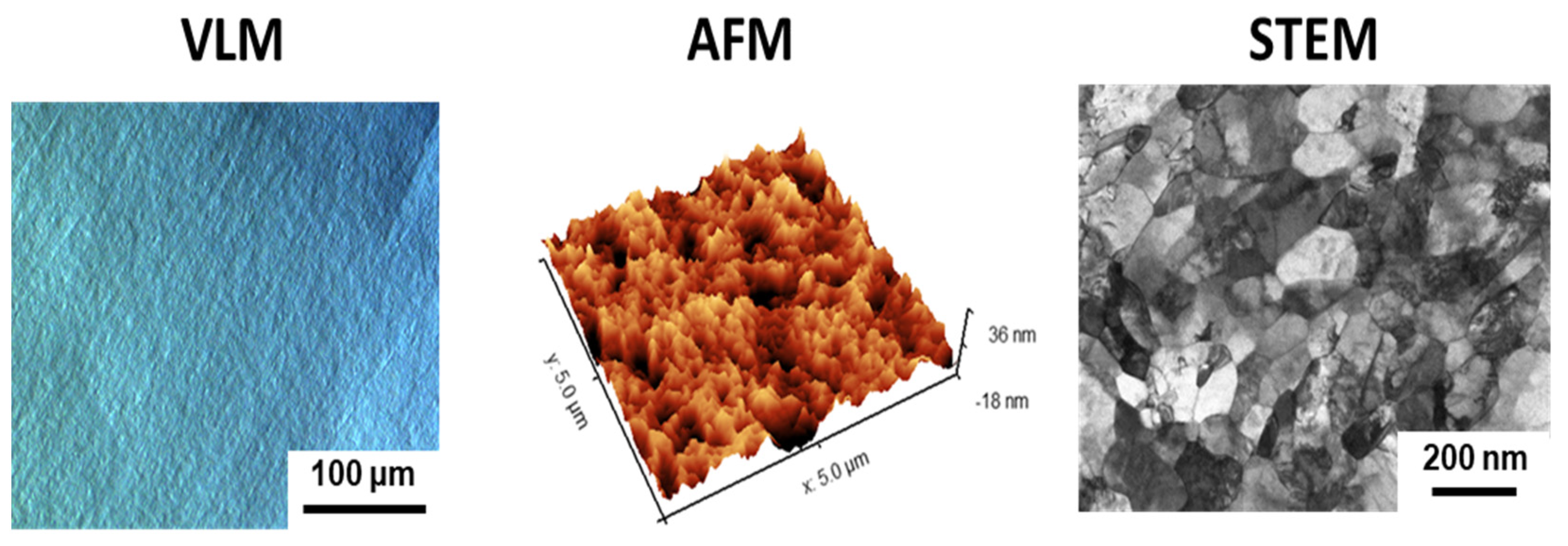 Biomolecules 12 01515 g001 Biomolecules 12 01515 g001