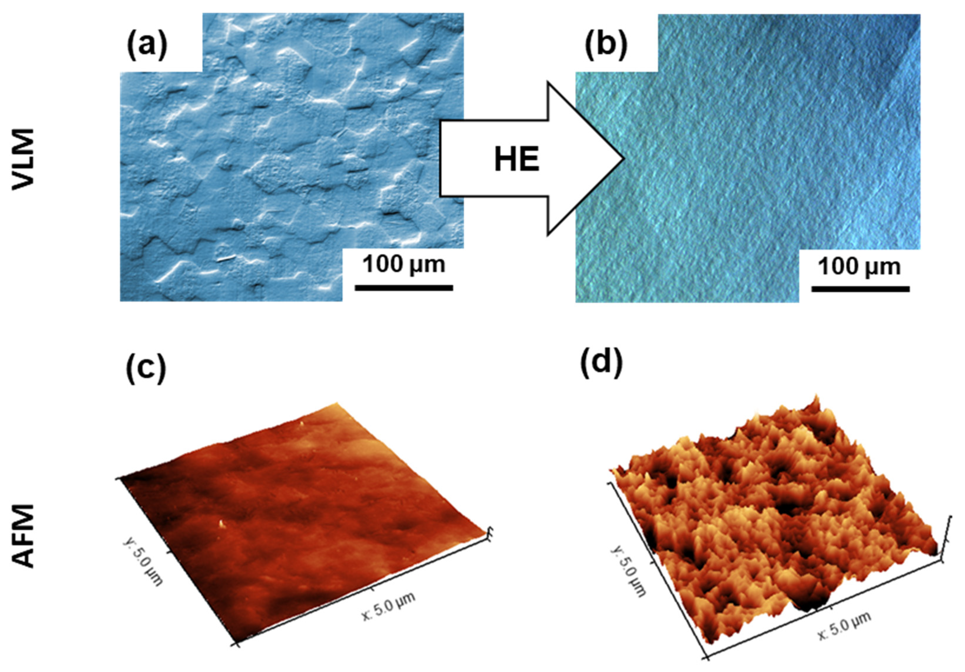 Biomolecules 12 01515 g002 Biomolecules 12 01515 g002
