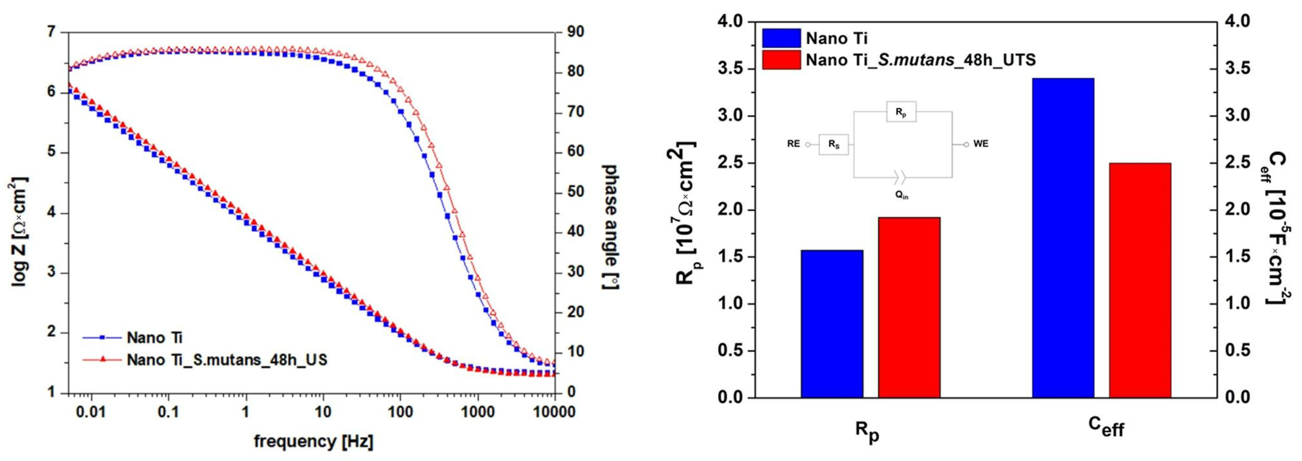 Biomolecules 12 01515 g006 Biomolecules 12 01515 g006