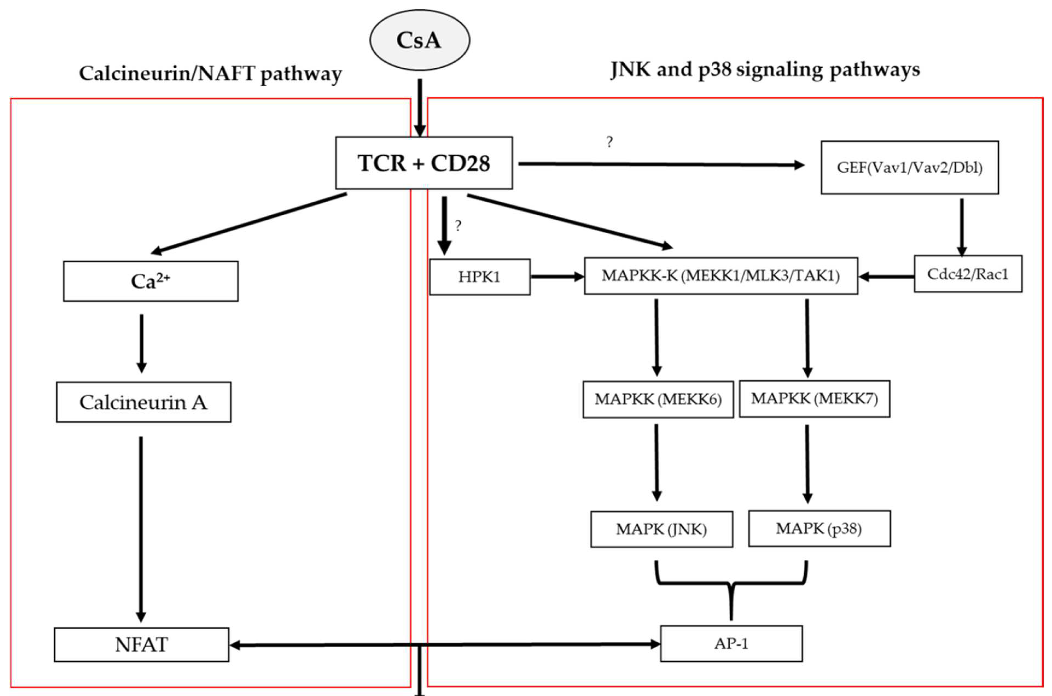 Biomolecules 12 01525 g002