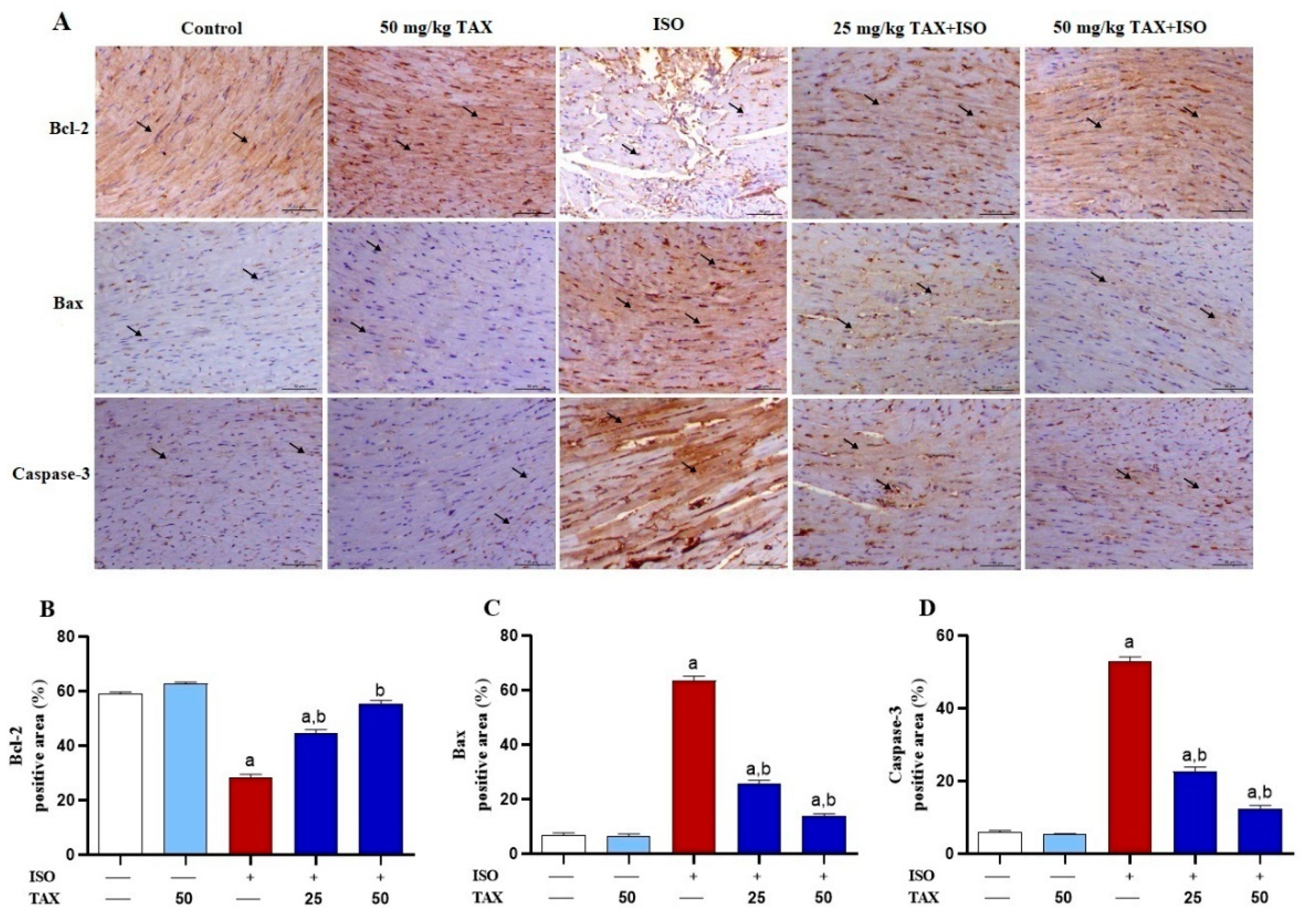 Biomolecules 12 01546 g007