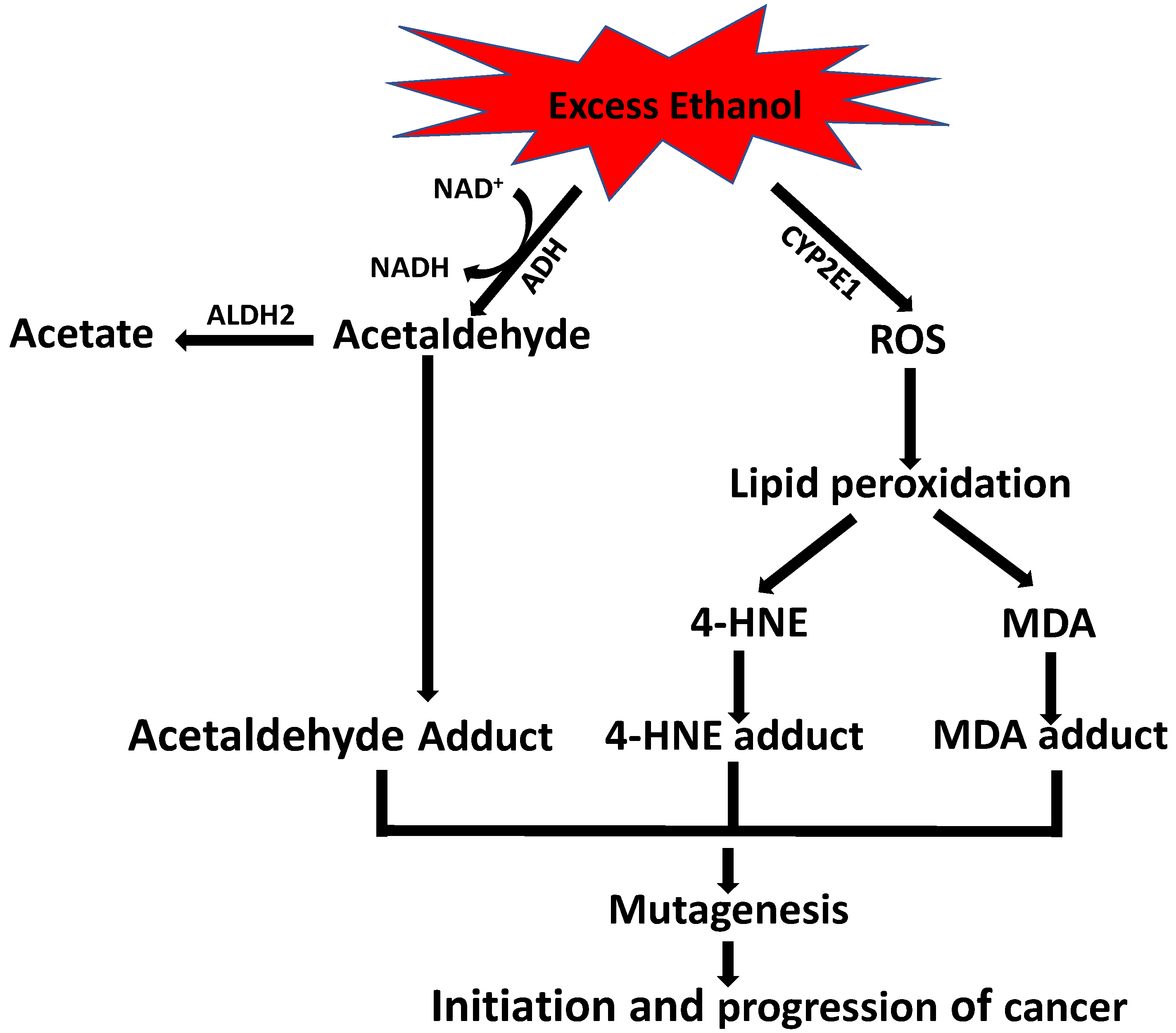 Biomolecules 12 01555 g003
