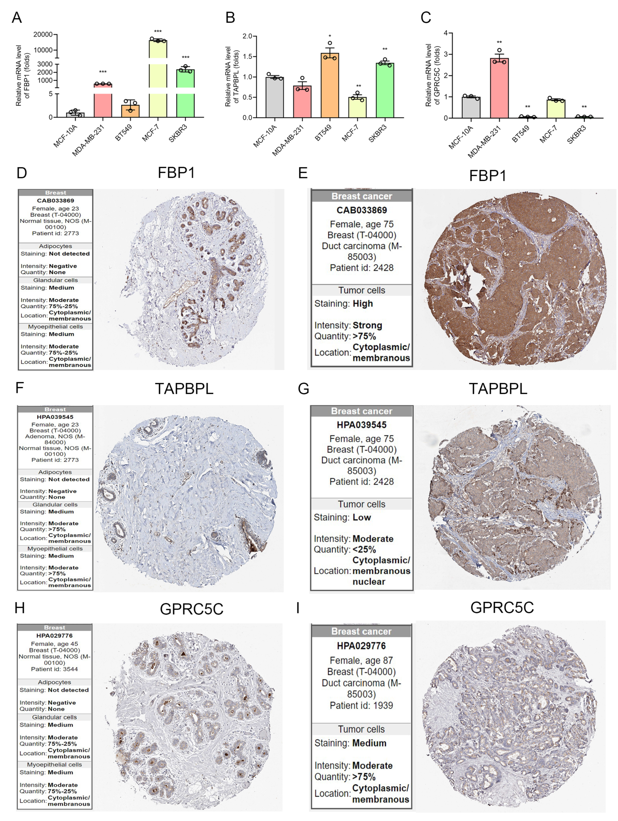 Biomolecules 12 01556 g006