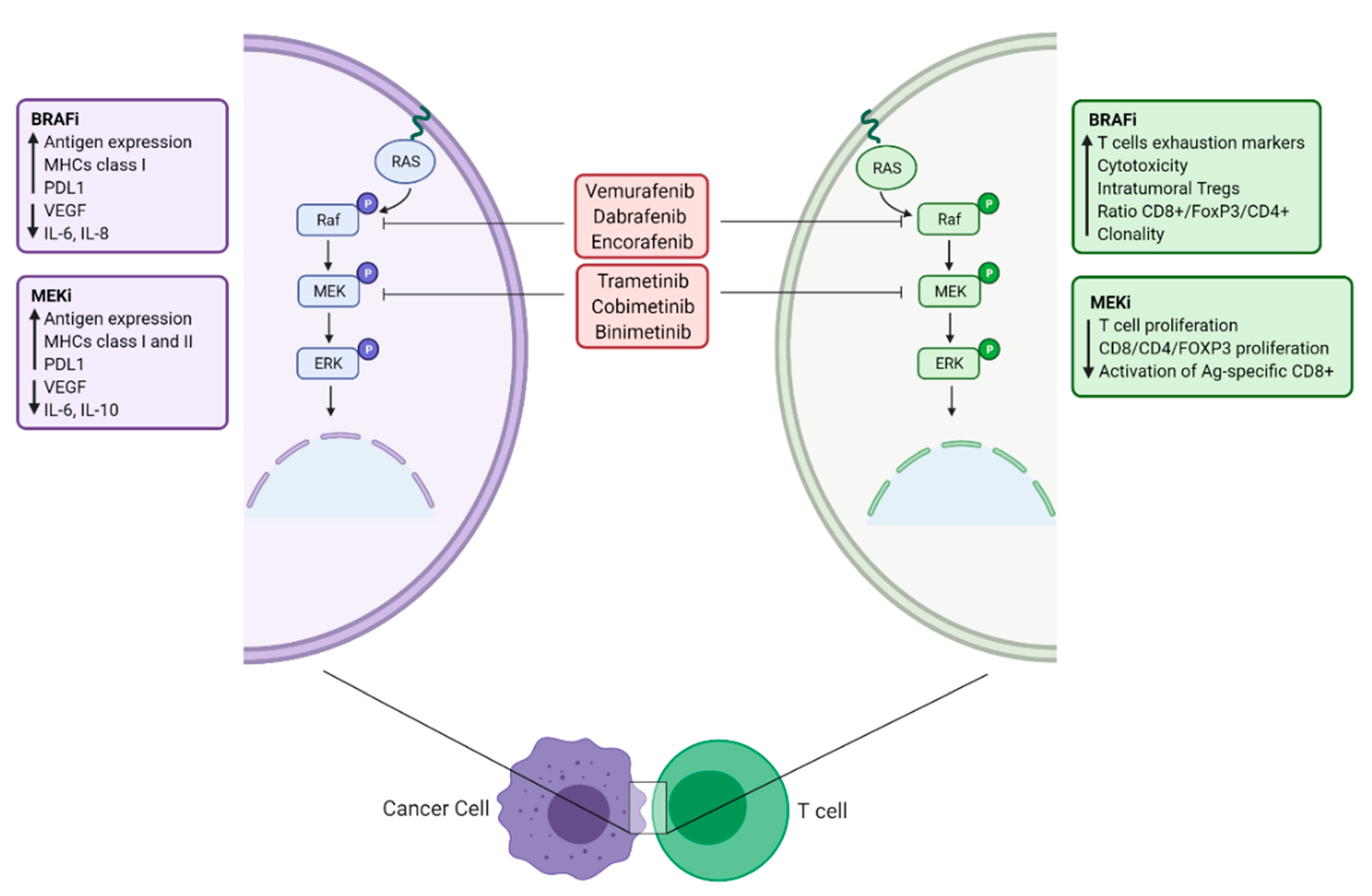 Biomolecules 12 01562 g002 Biomolecules 12 01562 g002