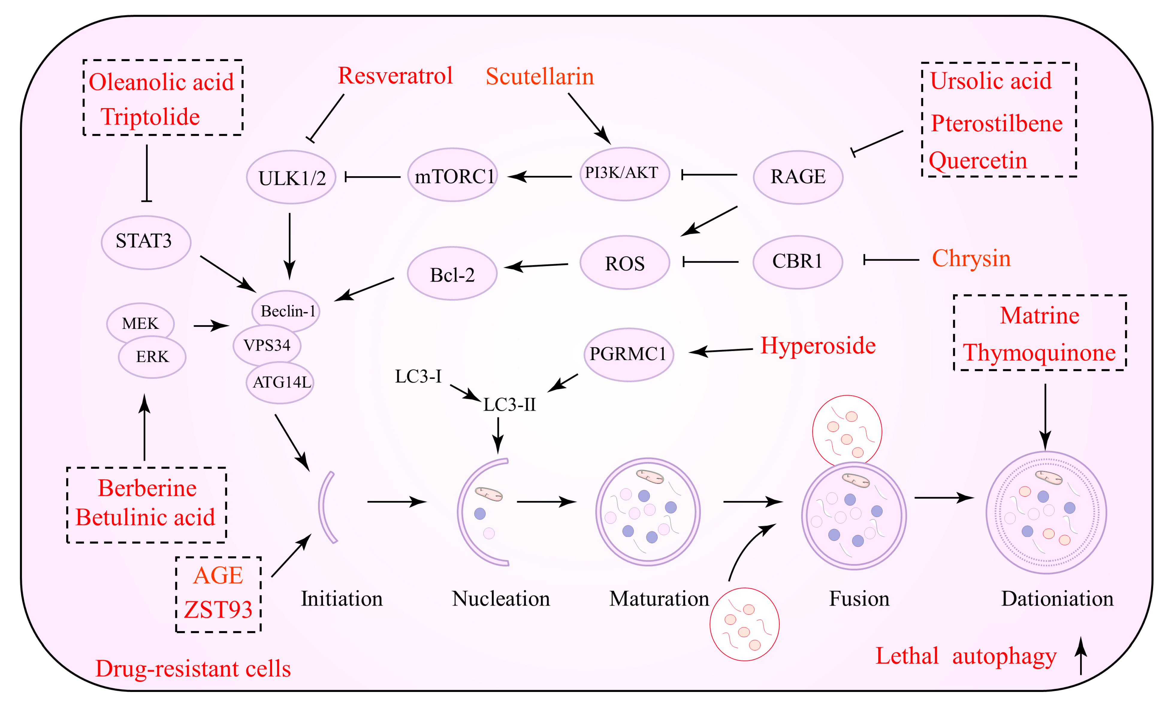 Biomolecules 12 01565 g001 Biomolecules 12 01565 g001