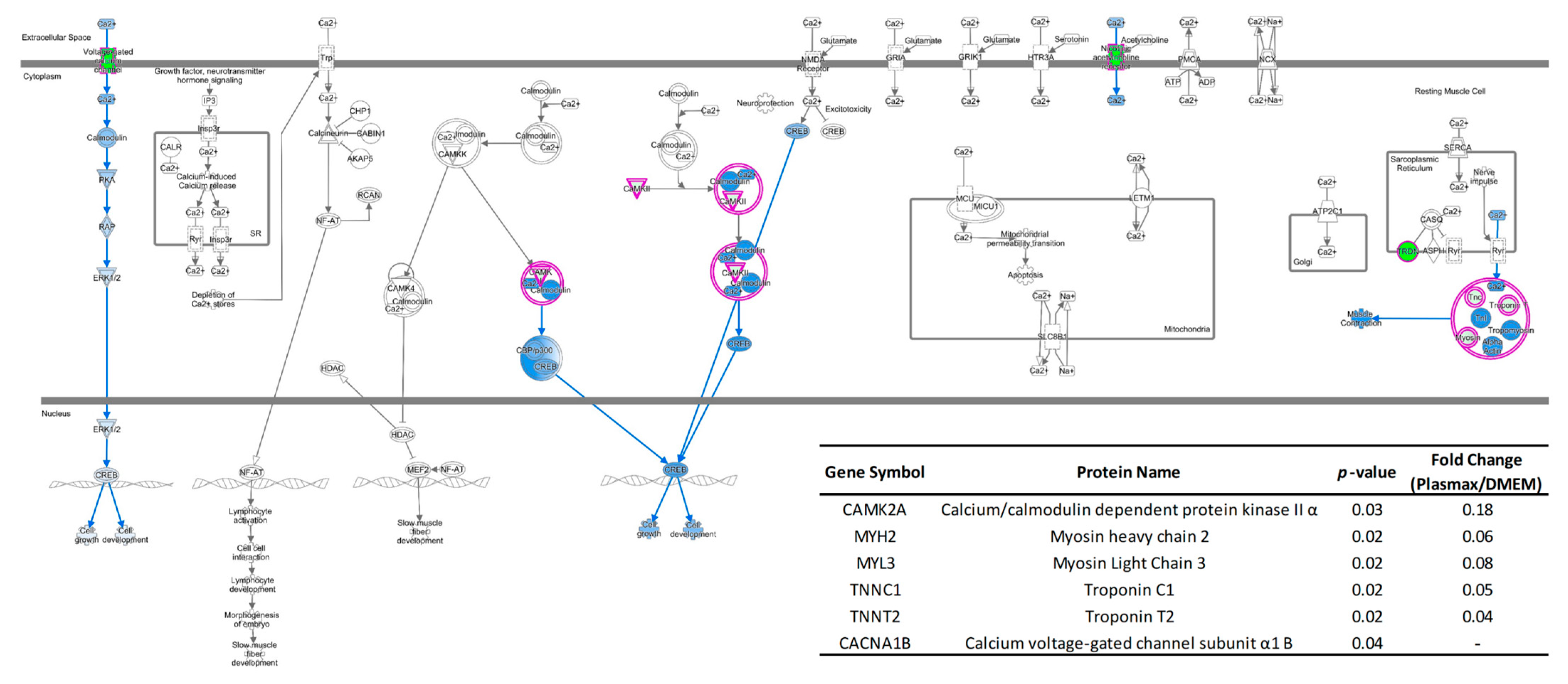 Biomolecules 12 01575 g003 Biomolecules 12 01575 g003