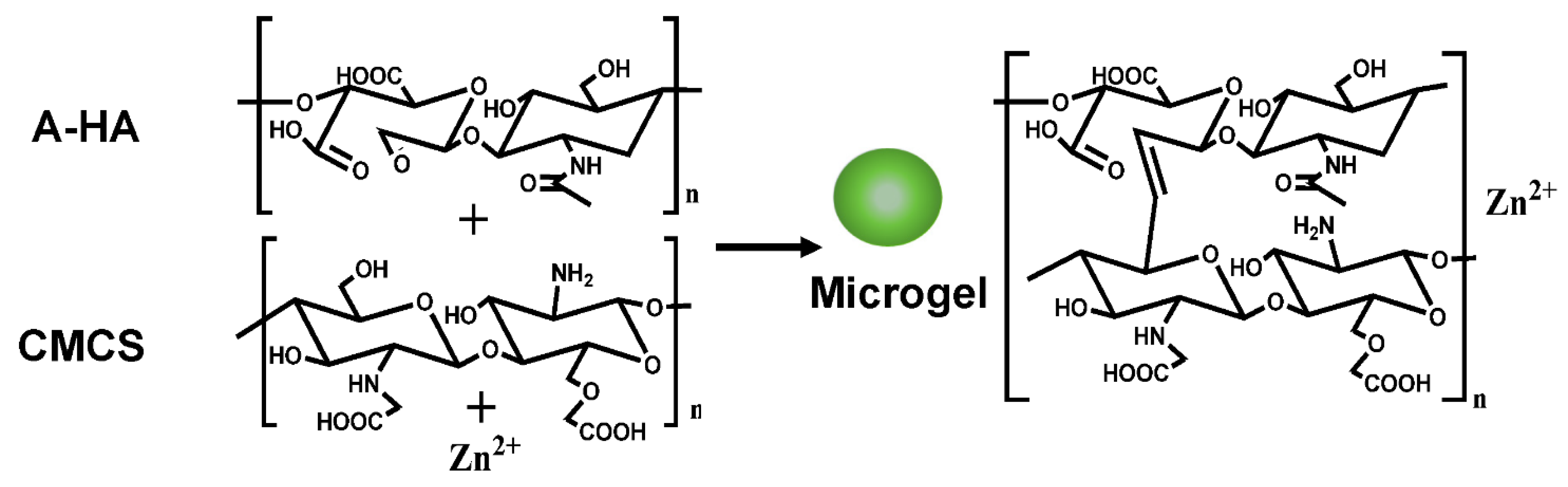 Biomolecules 12 01582 g001 Biomolecules 12 01582 g001