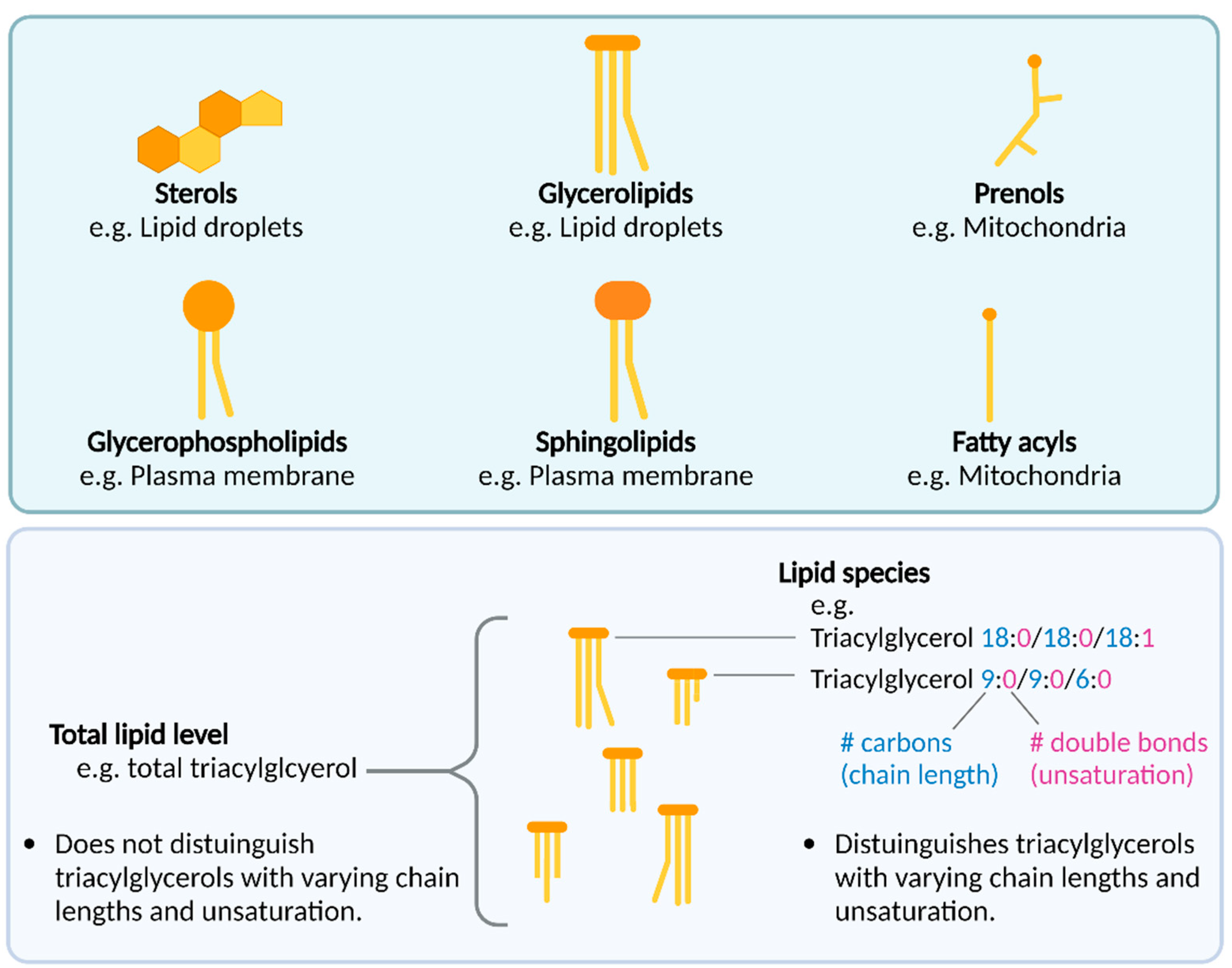 Biomolecules 12 01597 g001 Biomolecules 12 01597 g001
