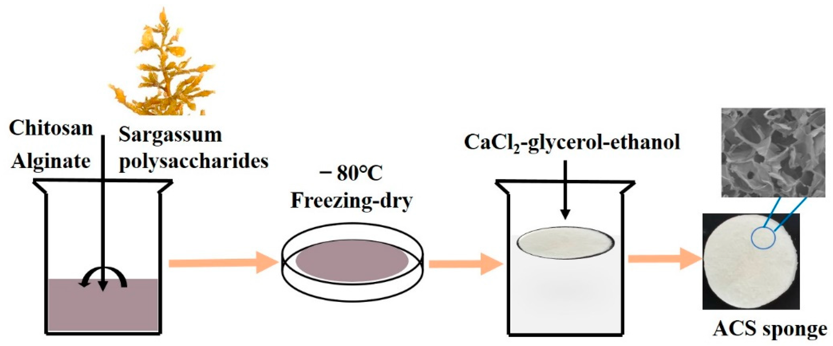 Biomolecules 12 01601 g001