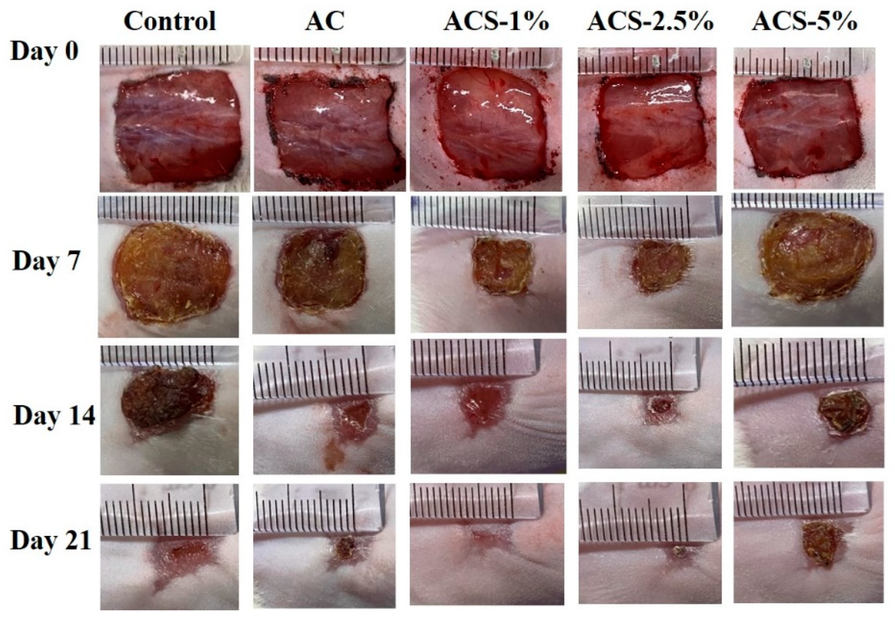 Biomolecules 12 01601 g006
