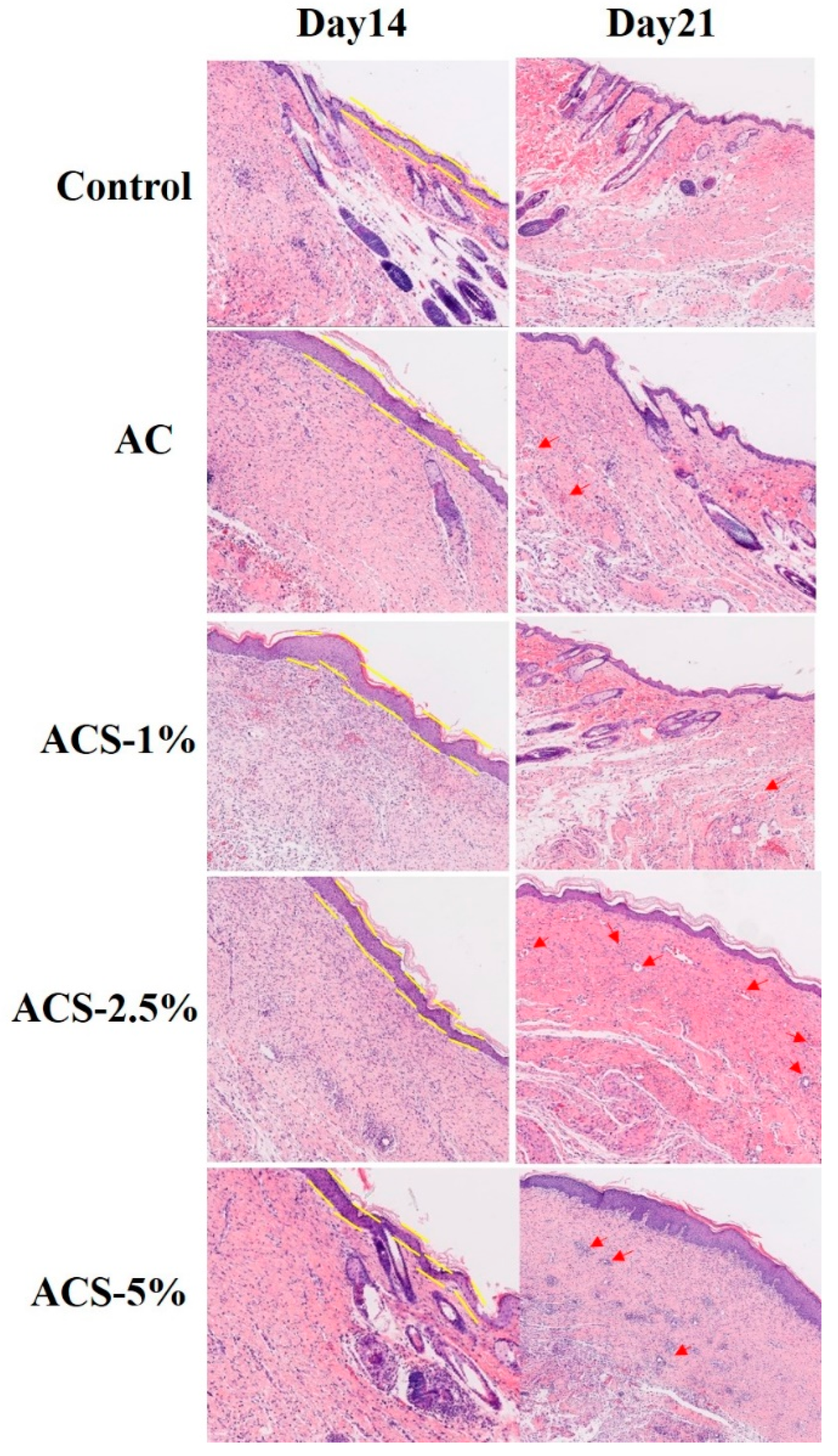 Biomolecules 12 01601 g008