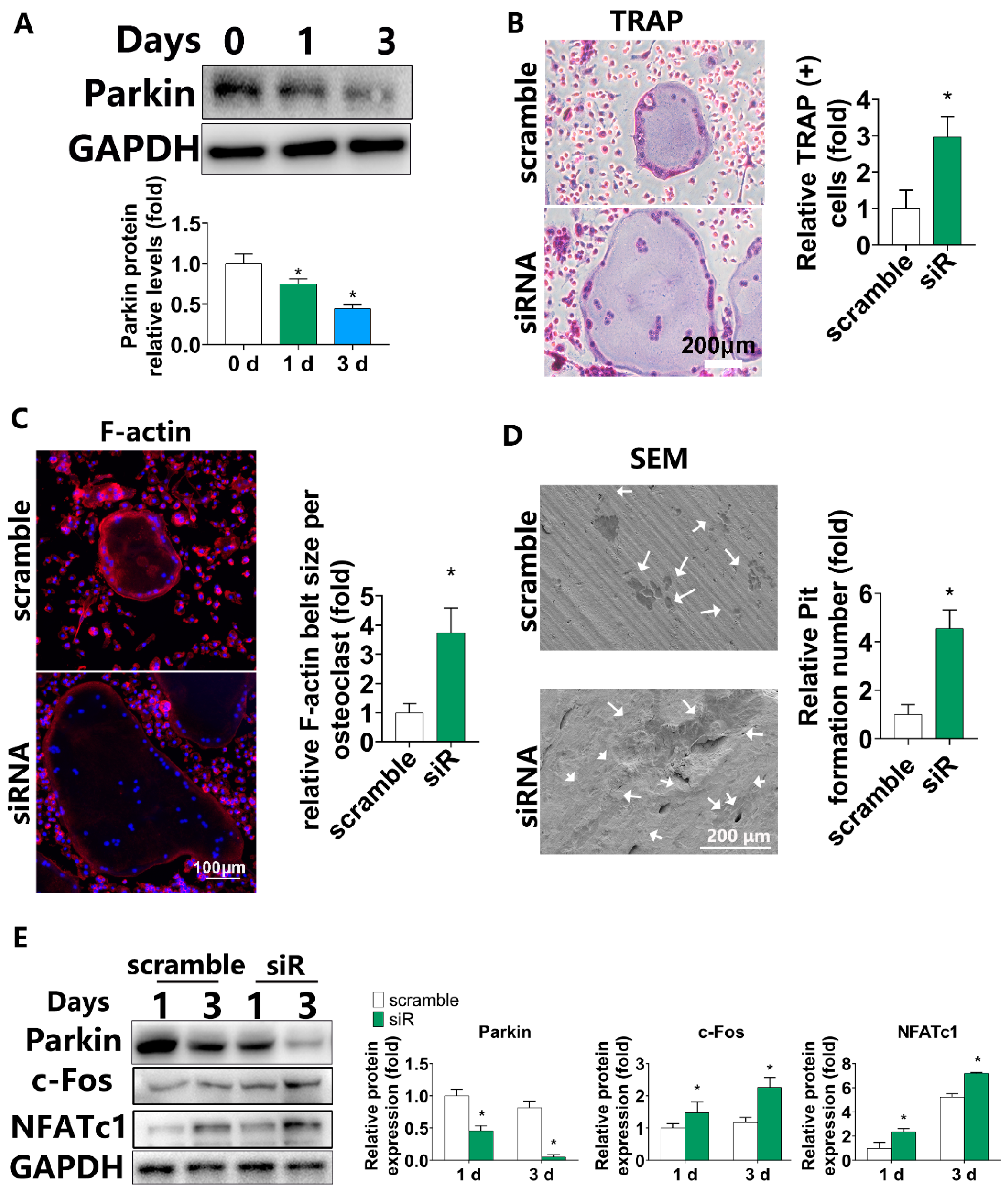 Biomolecules 12 01602 g001 Biomolecules 12 01602 g001