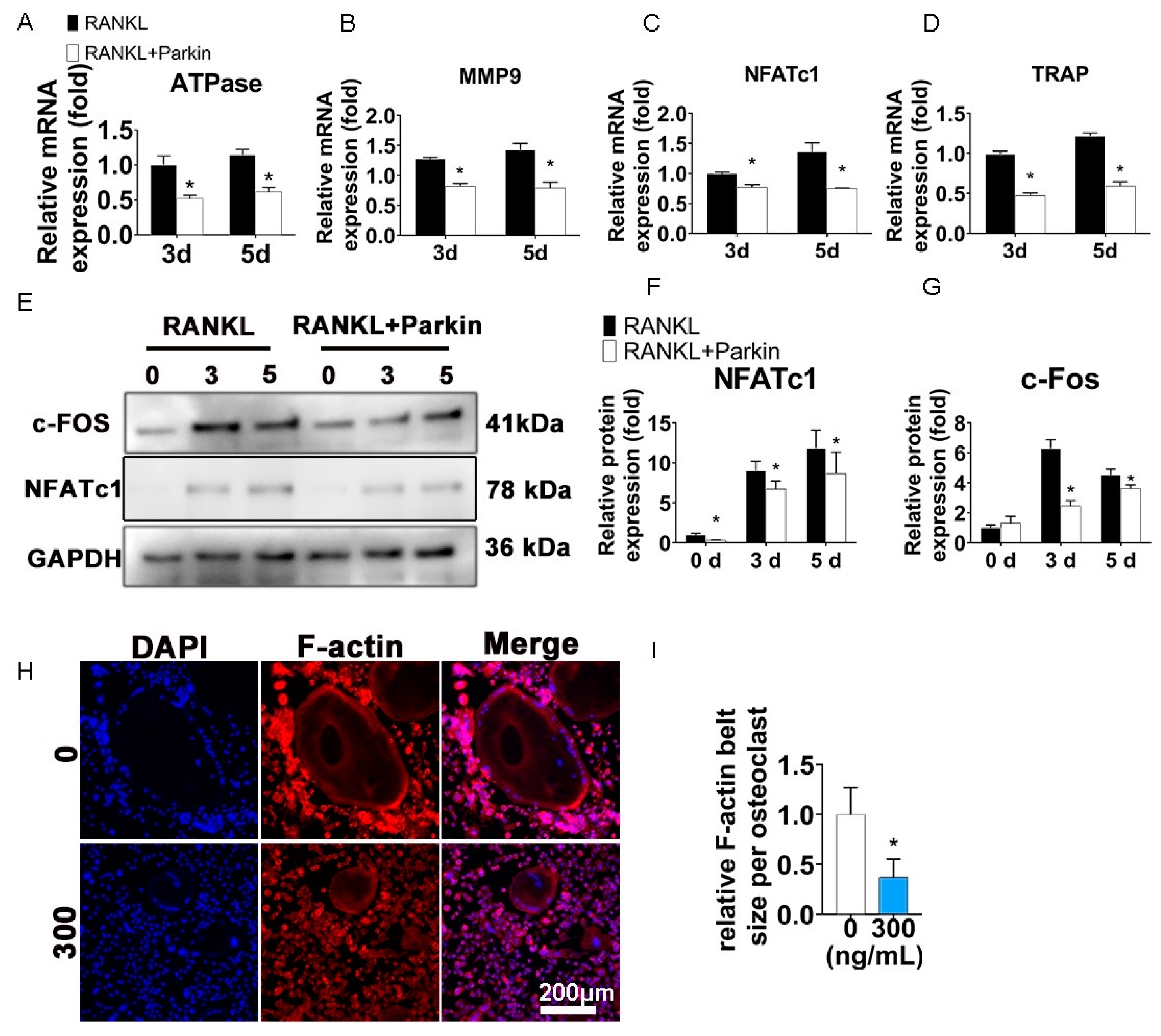 Biomolecules 12 01602 g003 Biomolecules 12 01602 g003