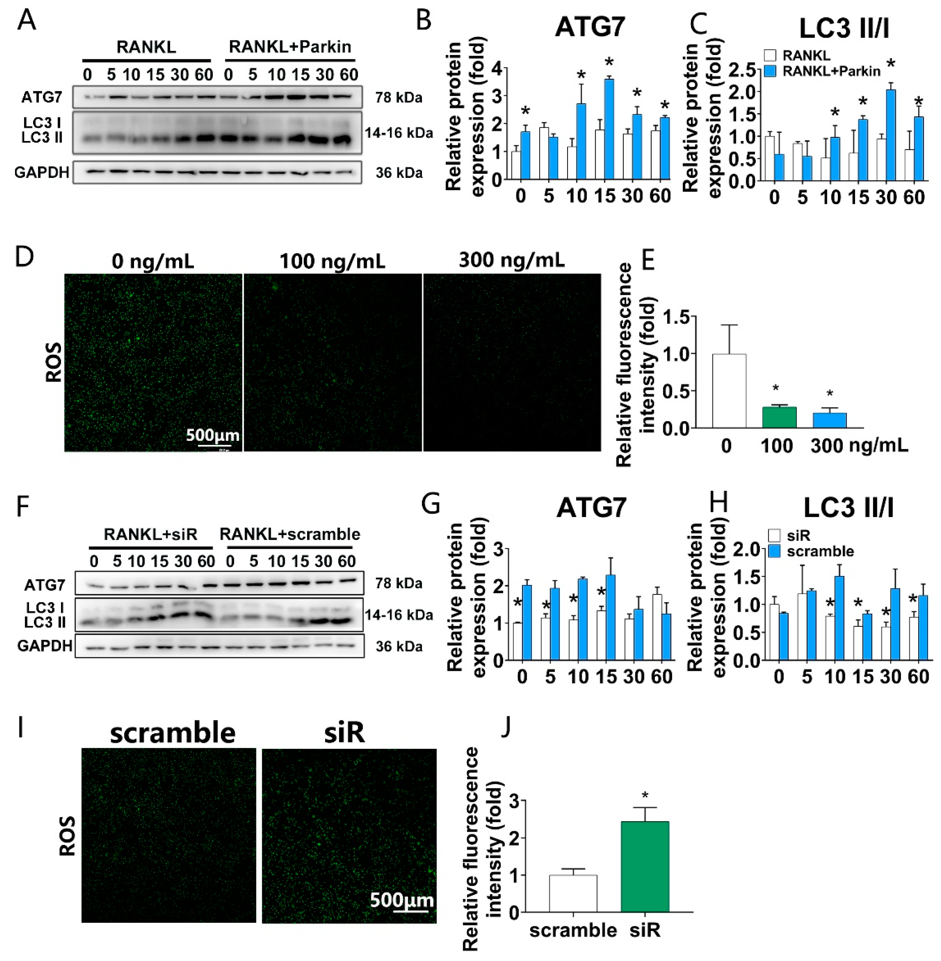 Biomolecules 12 01602 g004 Biomolecules 12 01602 g004