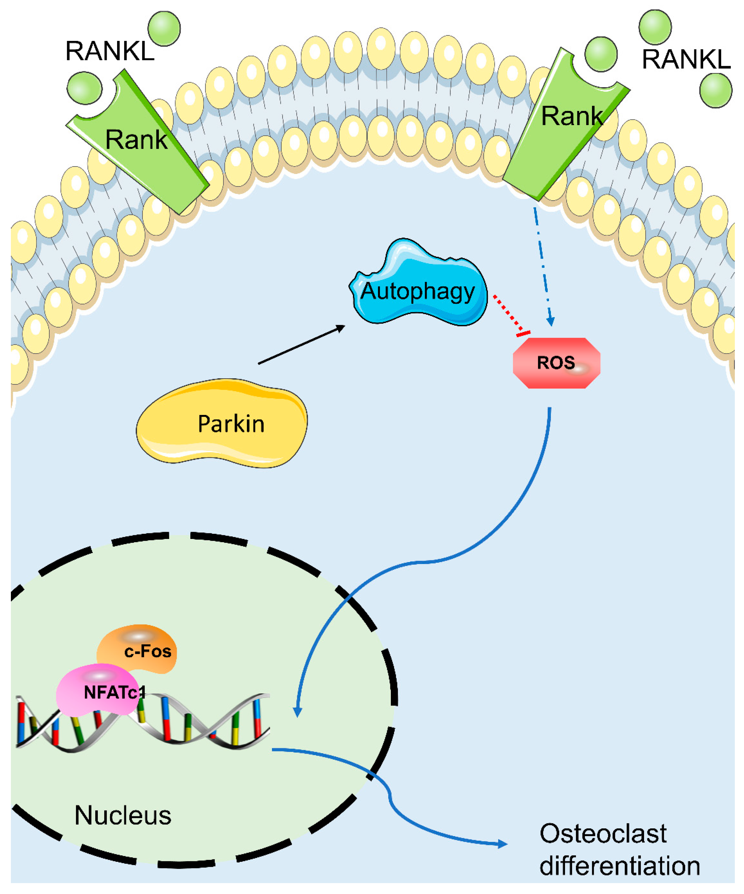 Biomolecules 12 01602 g006 Biomolecules 12 01602 g006