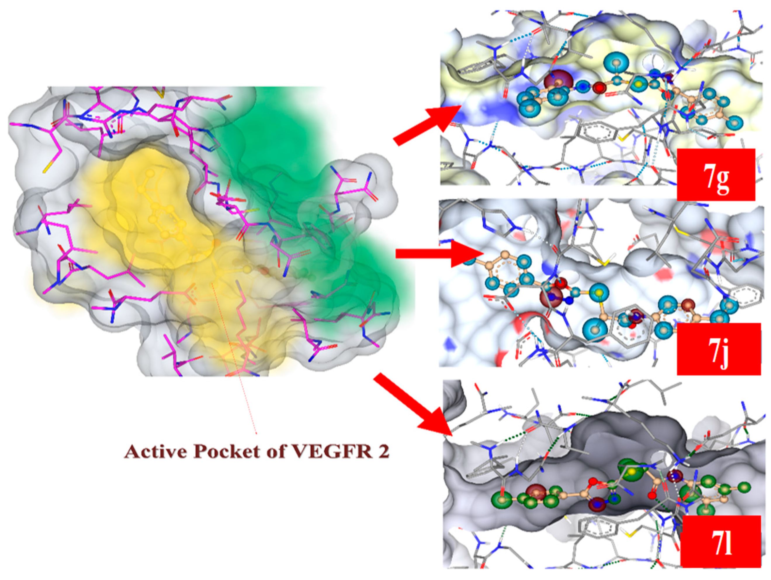 Biomolecules 12 01612 g005 Biomolecules 12 01612 g005