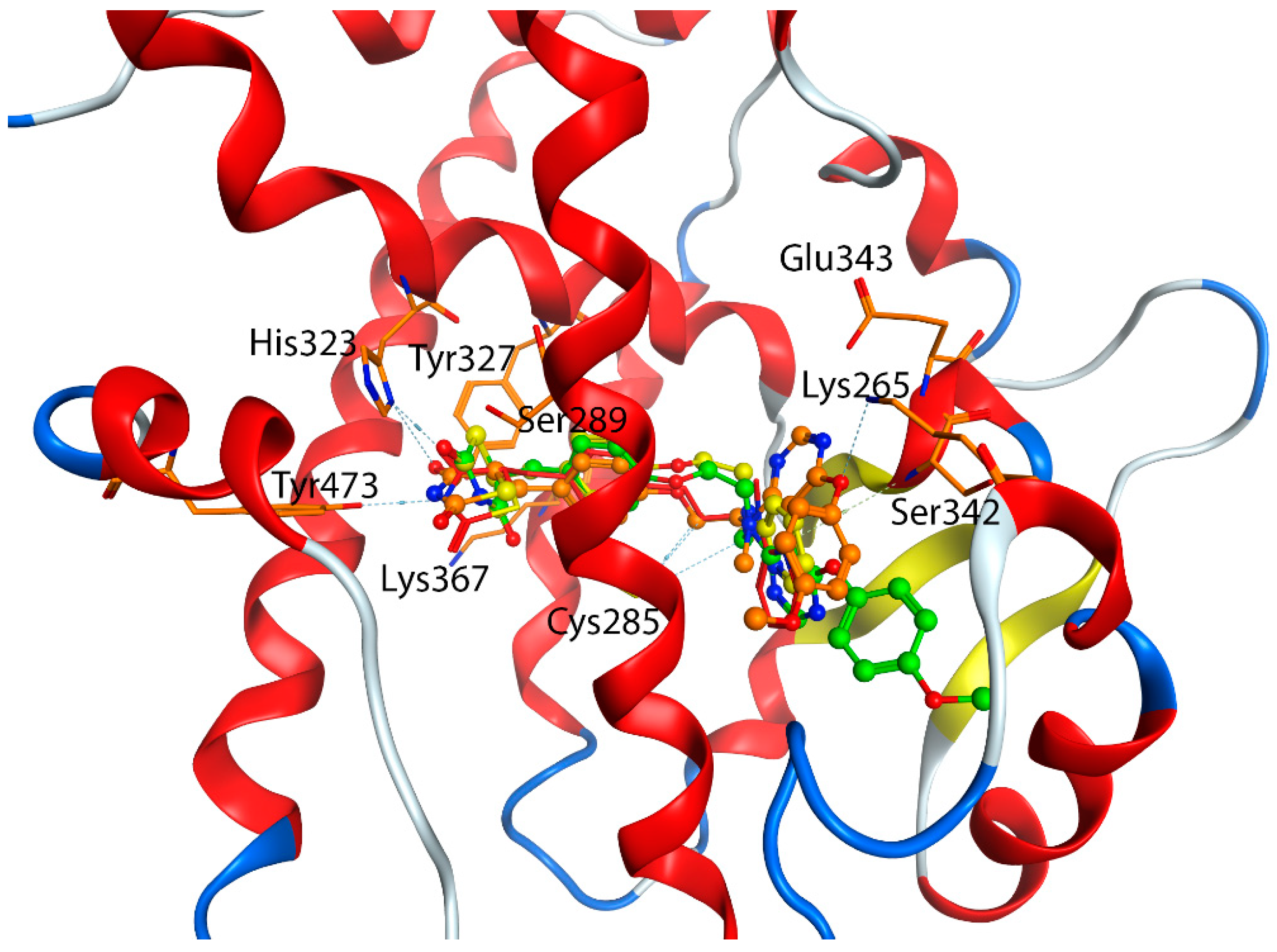Biomolecules 12 01614 g006 Biomolecules 12 01614 g006