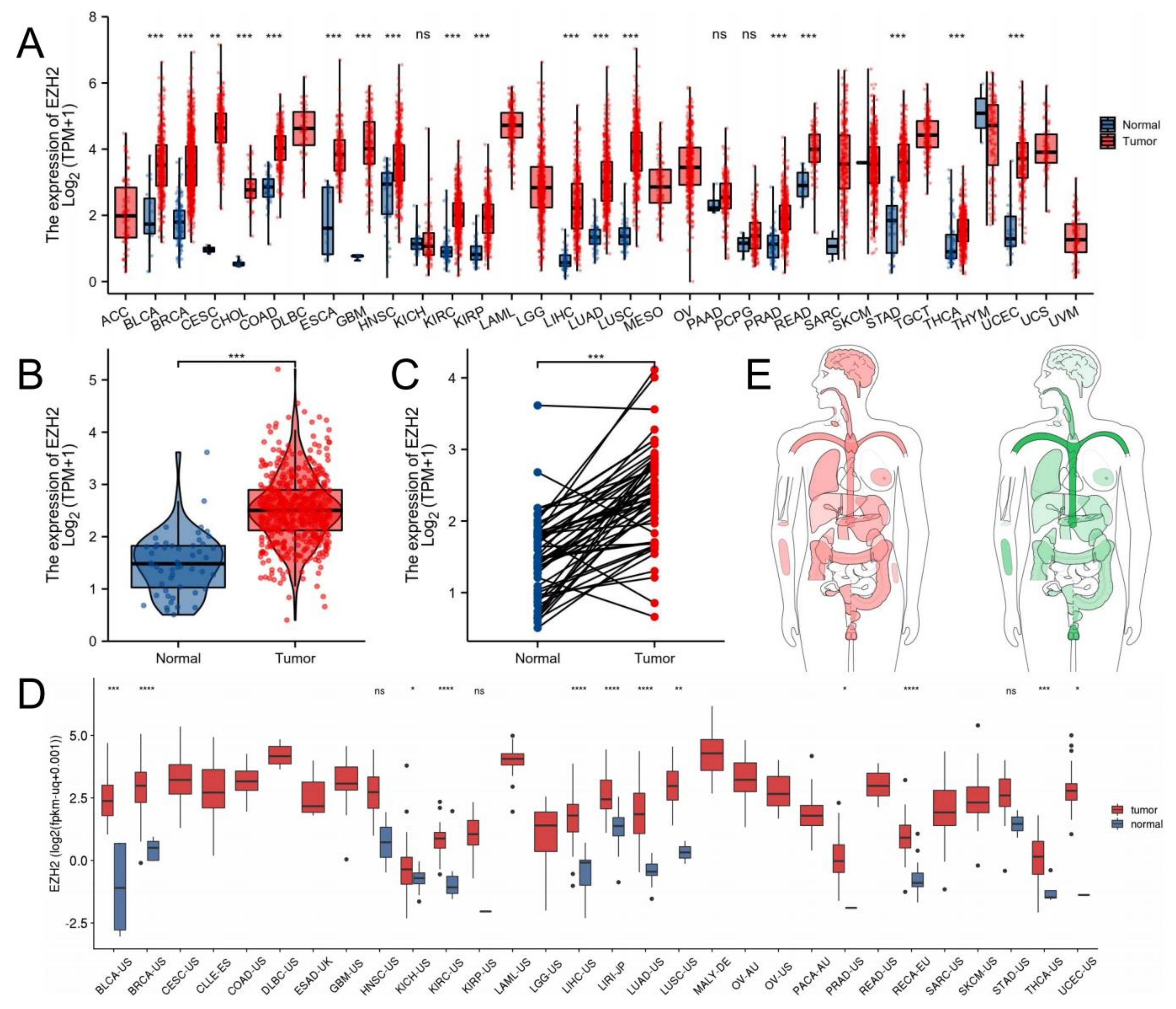 Biomolecules 12 01617 g001 Biomolecules 12 01617 g001