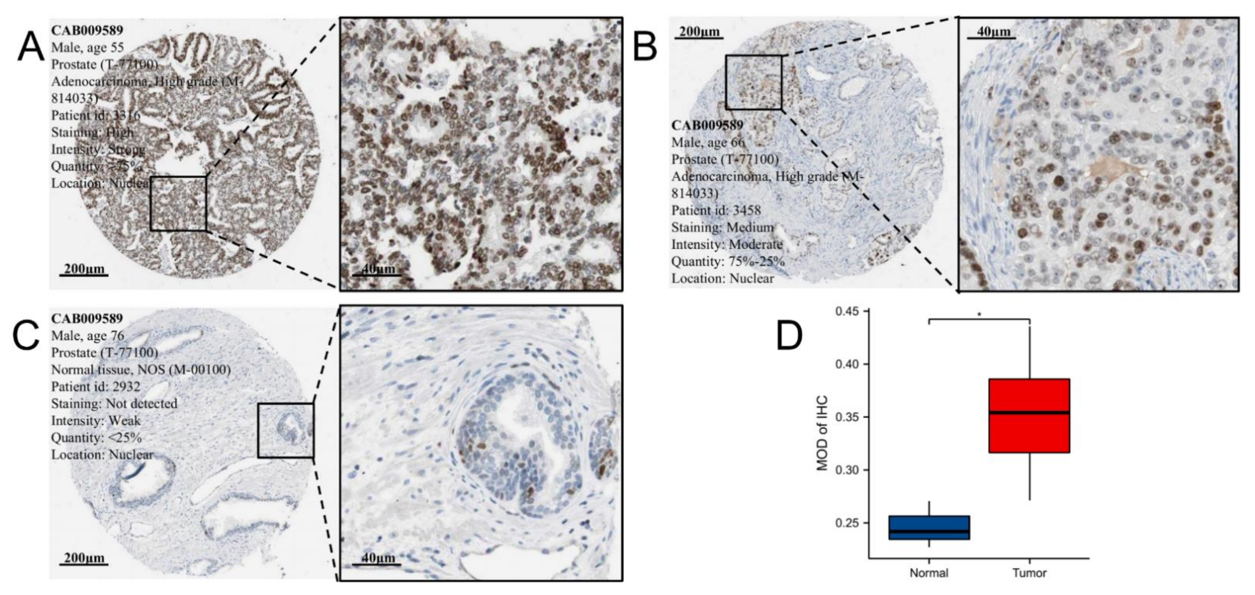 Biomolecules 12 01617 g002 Biomolecules 12 01617 g002