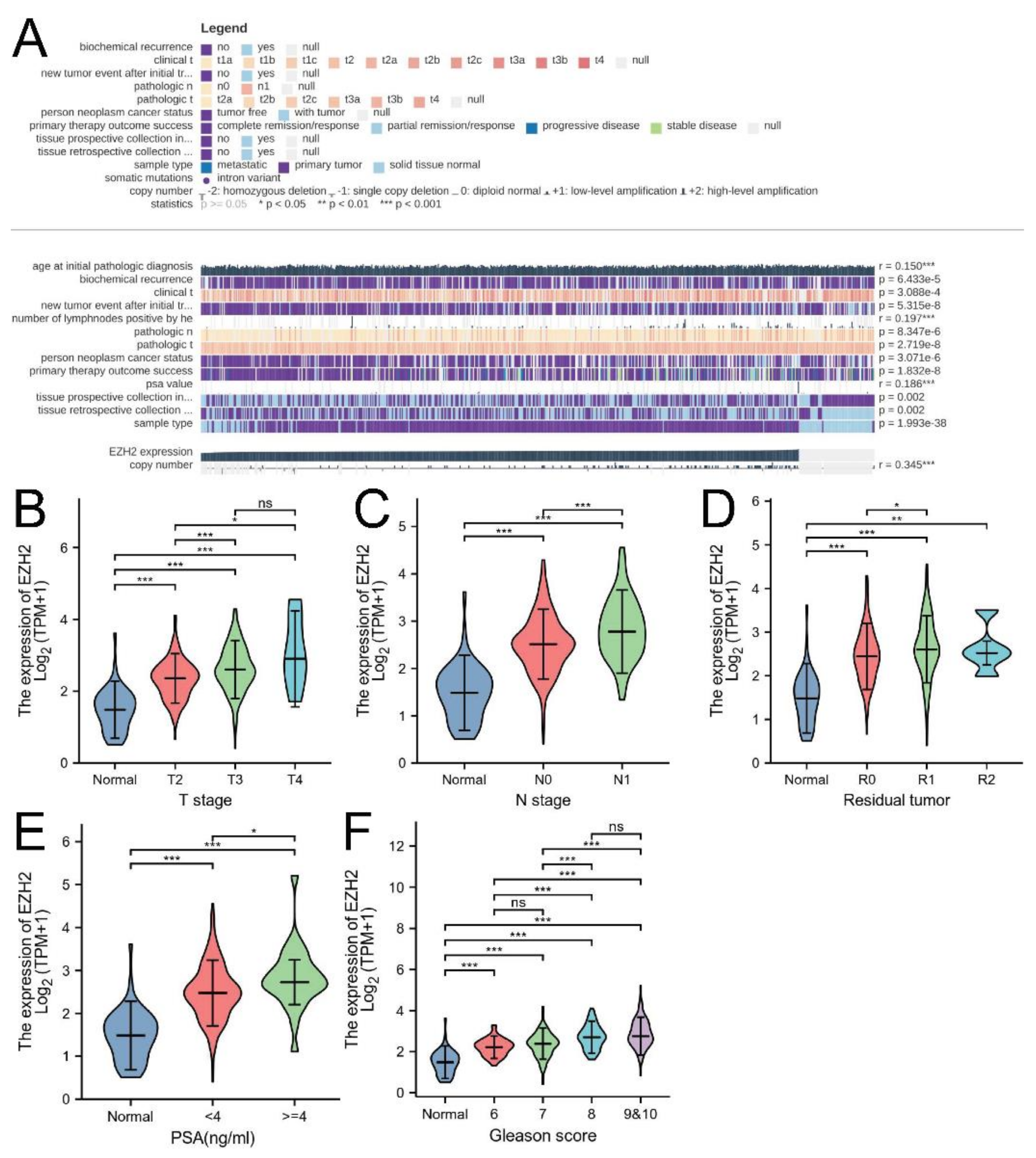 Biomolecules 12 01617 g003 Biomolecules 12 01617 g003