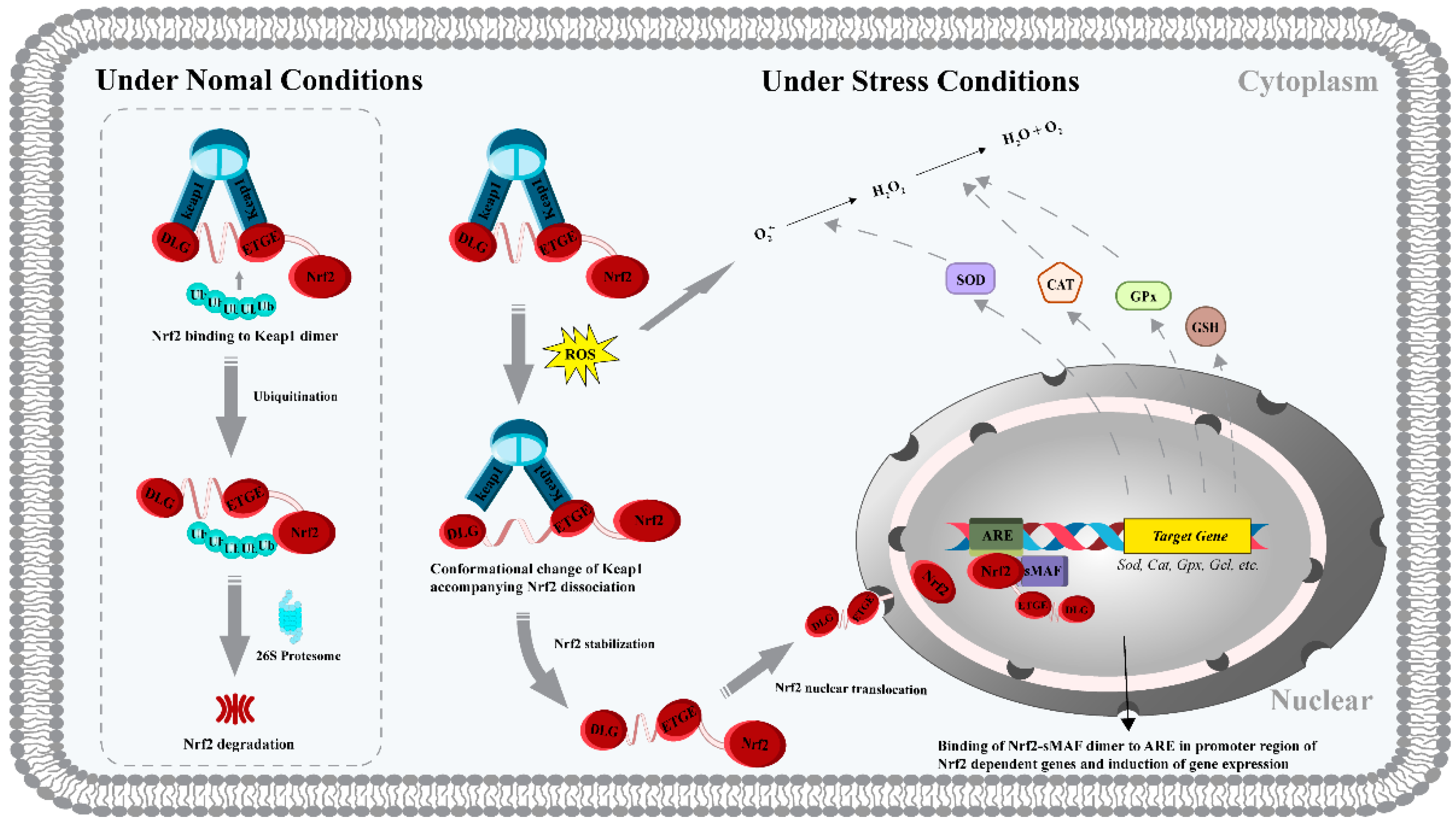 Biomolecules 12 01622 g002