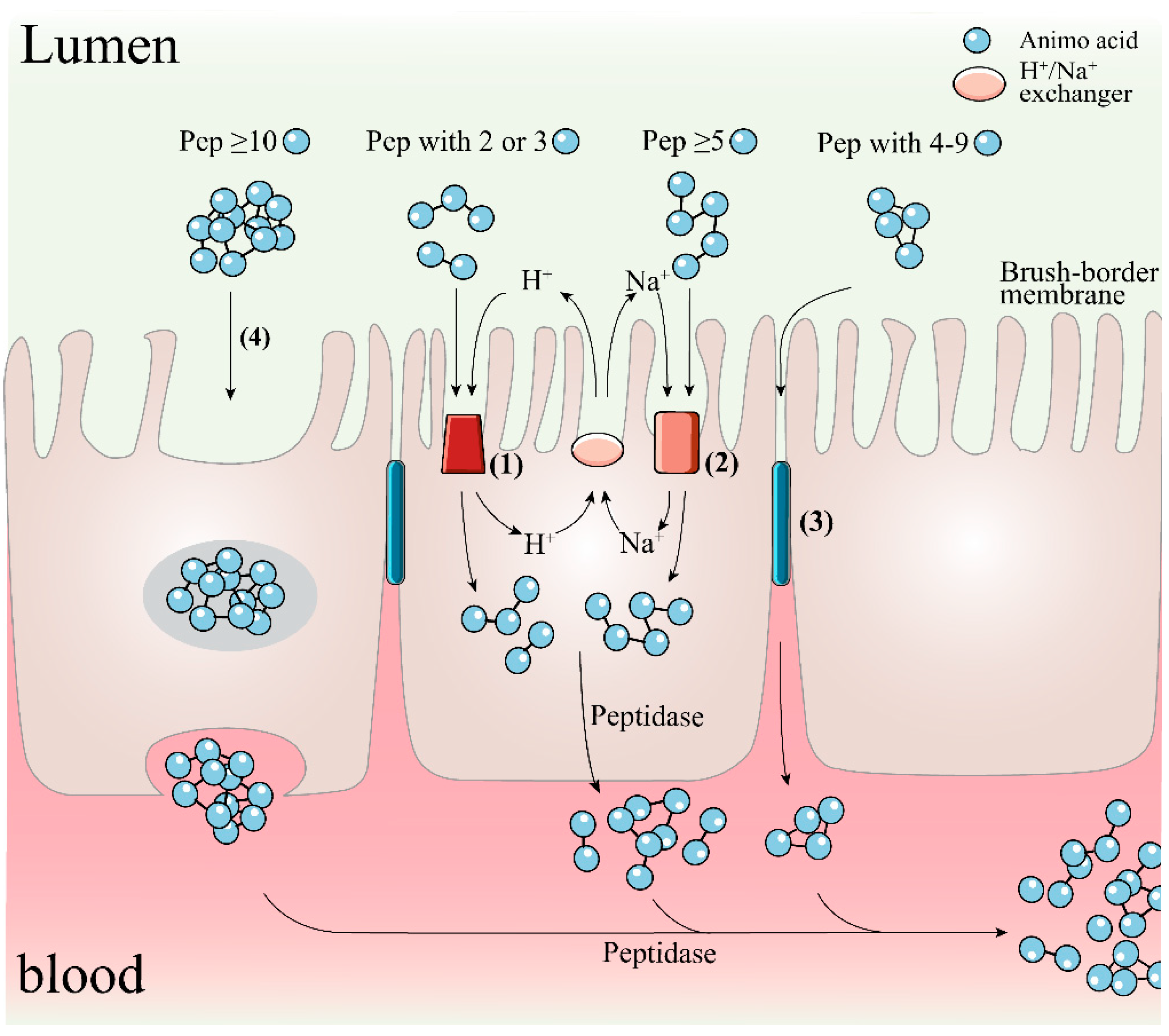 Biomolecules 12 01622 g003