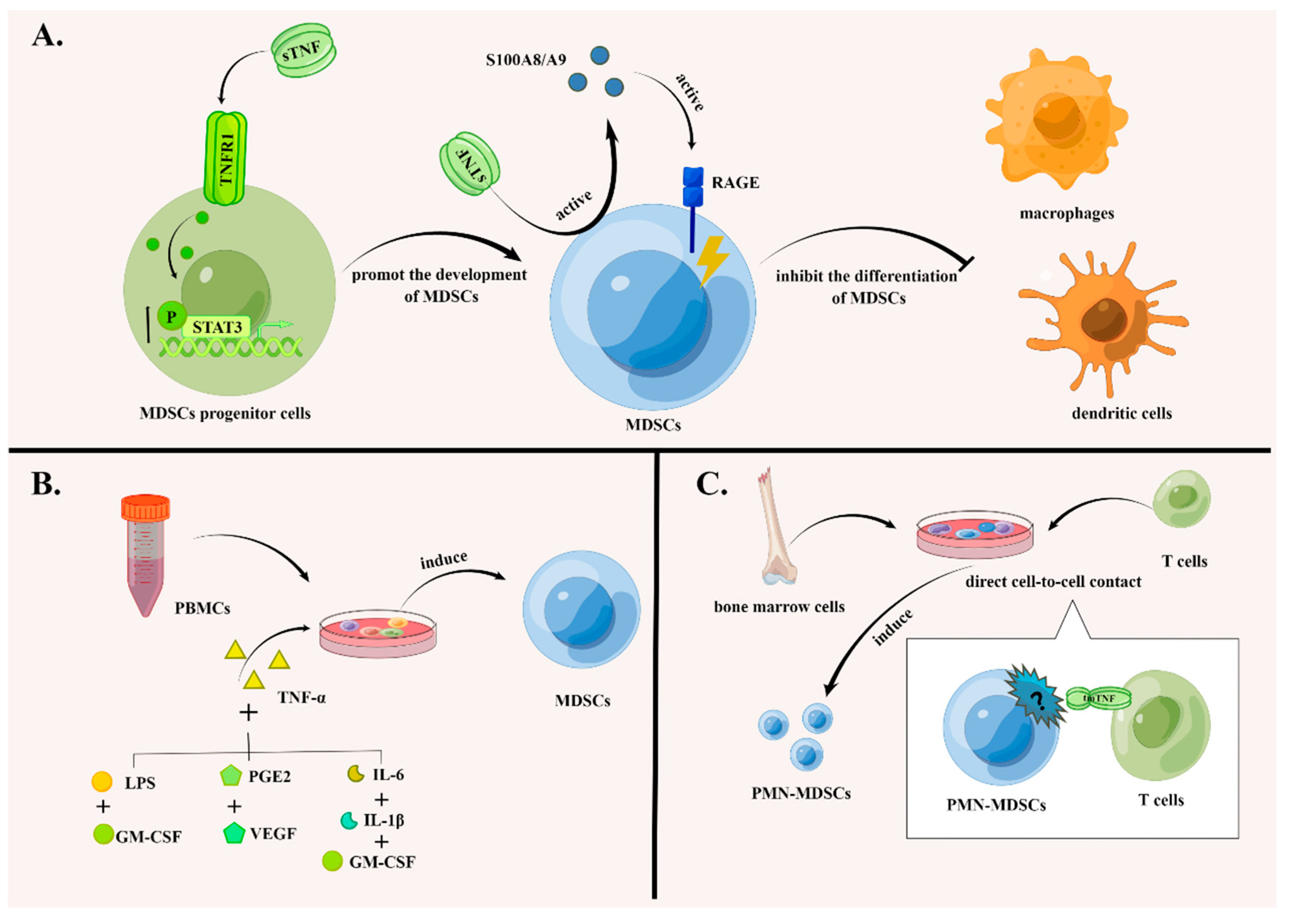 Biomolecules 12 01627 g001