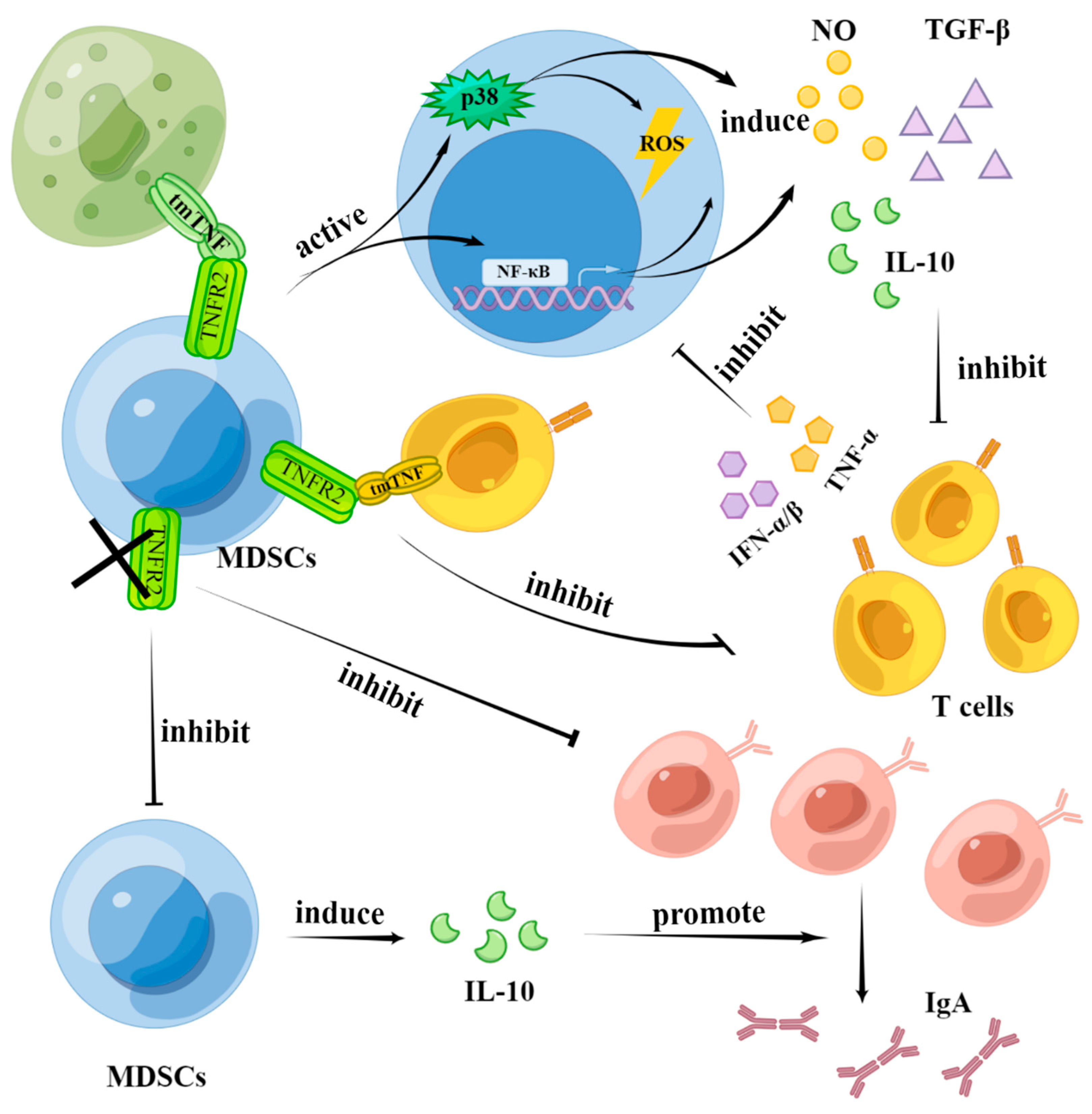 Biomolecules 12 01627 g003