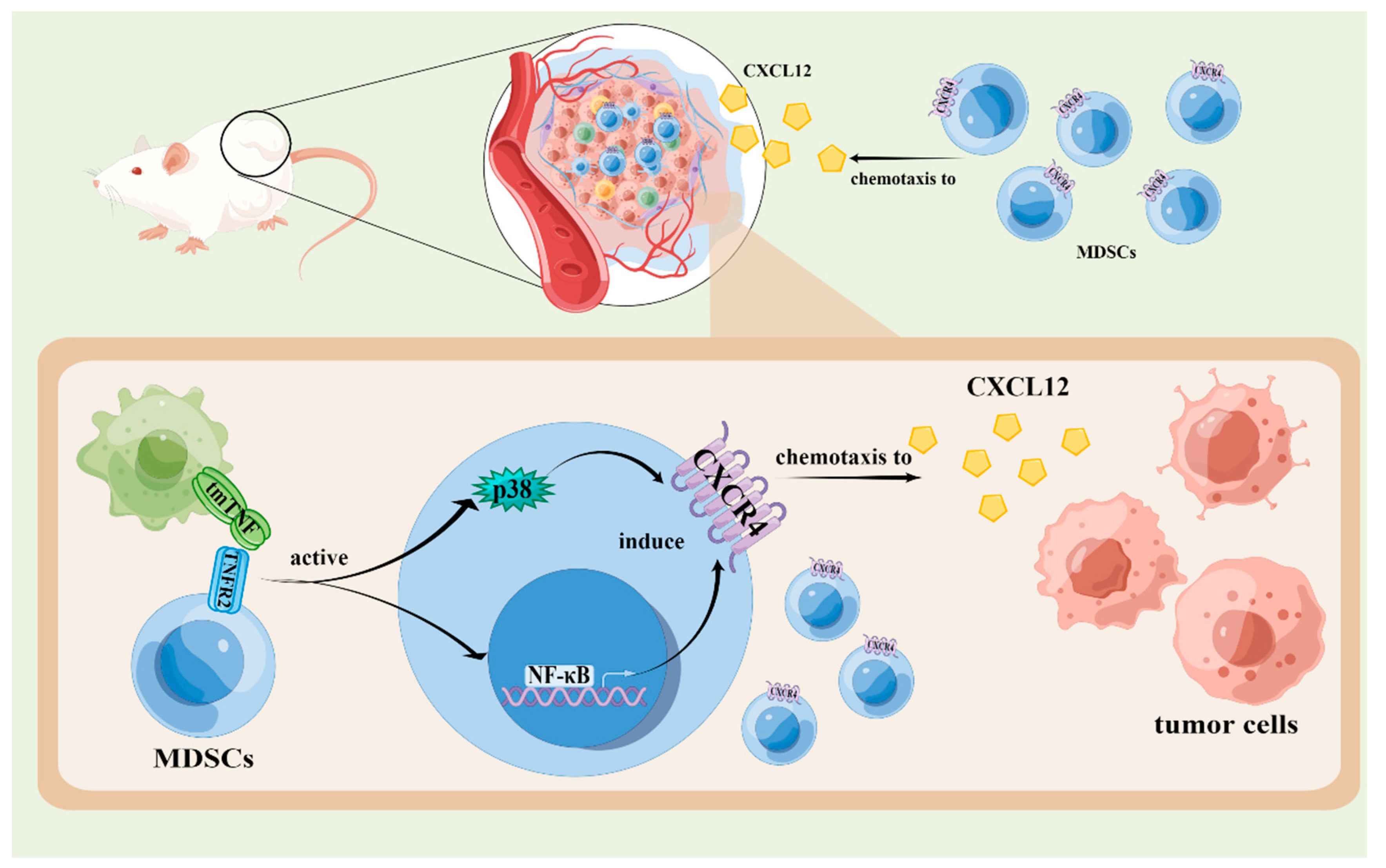 Biomolecules 12 01627 g004