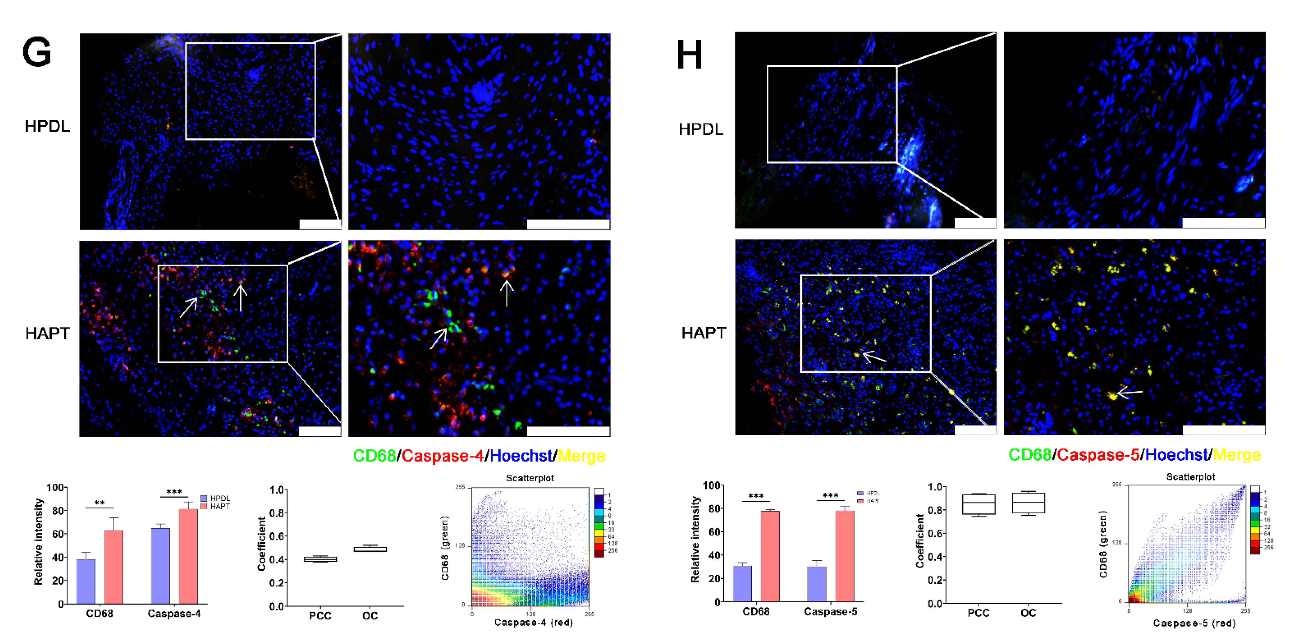 Biomolecules 12 01660 g002b