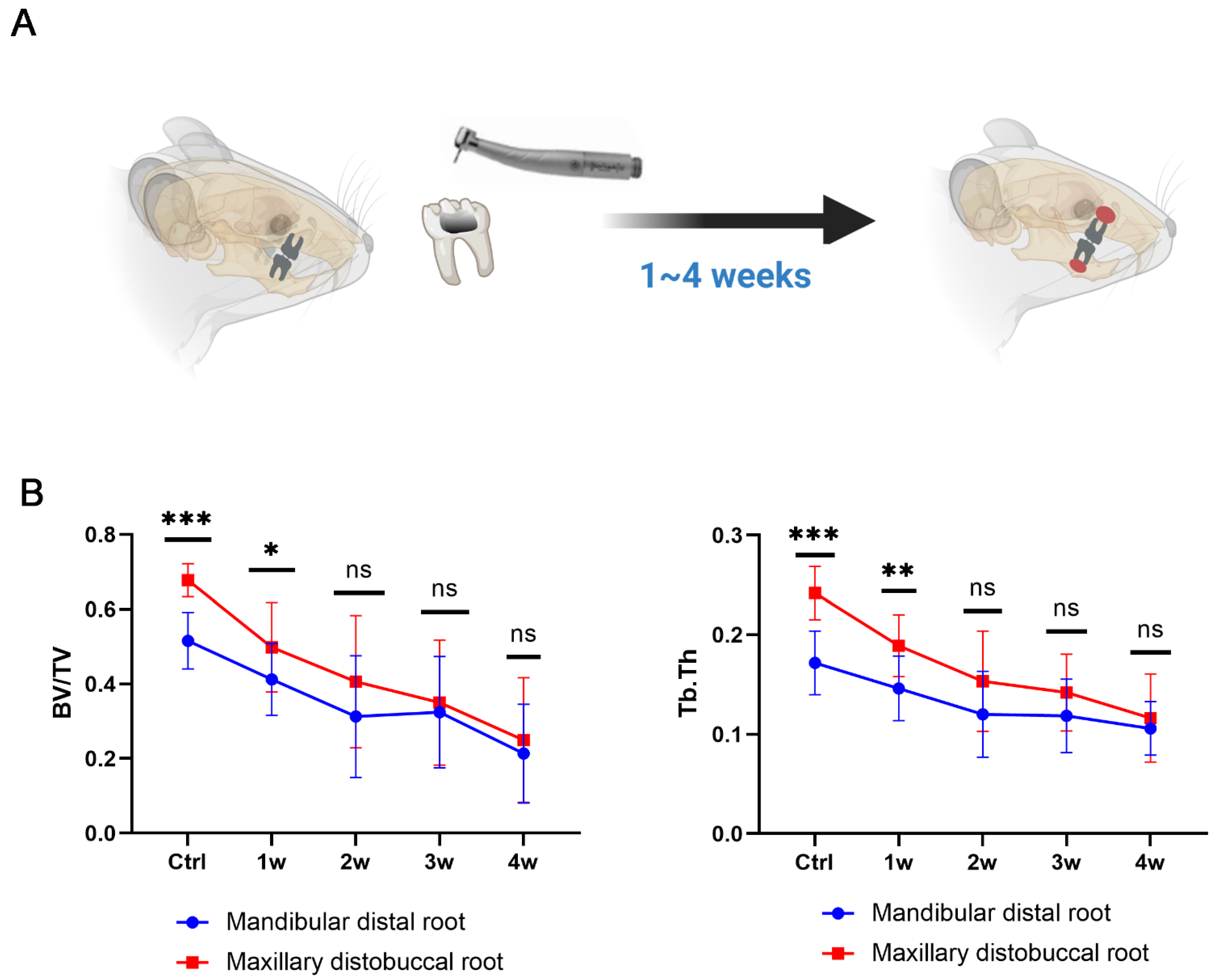 Biomolecules 12 01660 g004