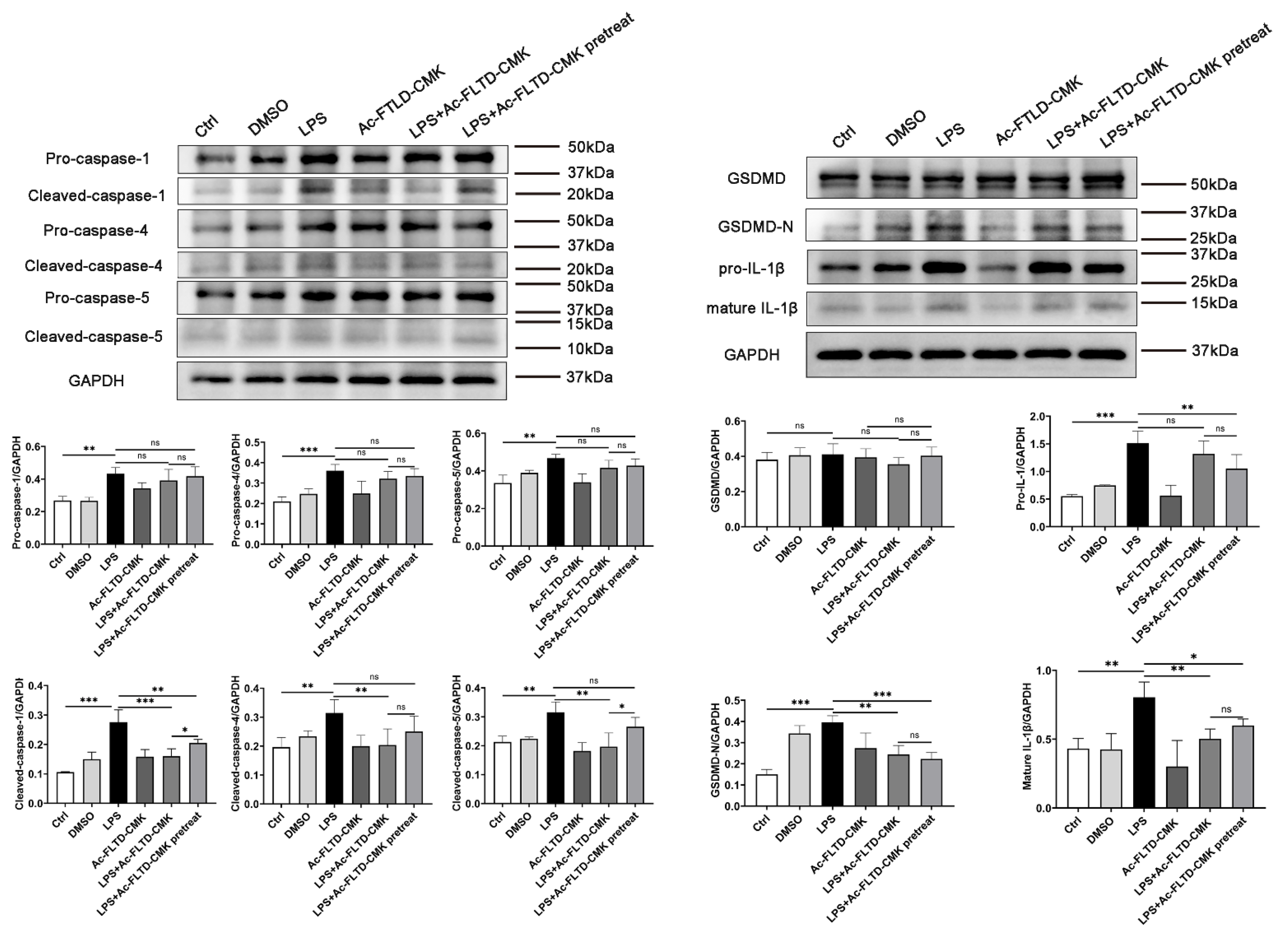 Biomolecules 12 01660 g007