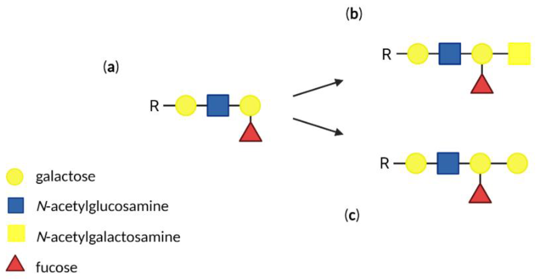 Biomolecules 12 01669 g003 Biomolecules 12 01669 g003