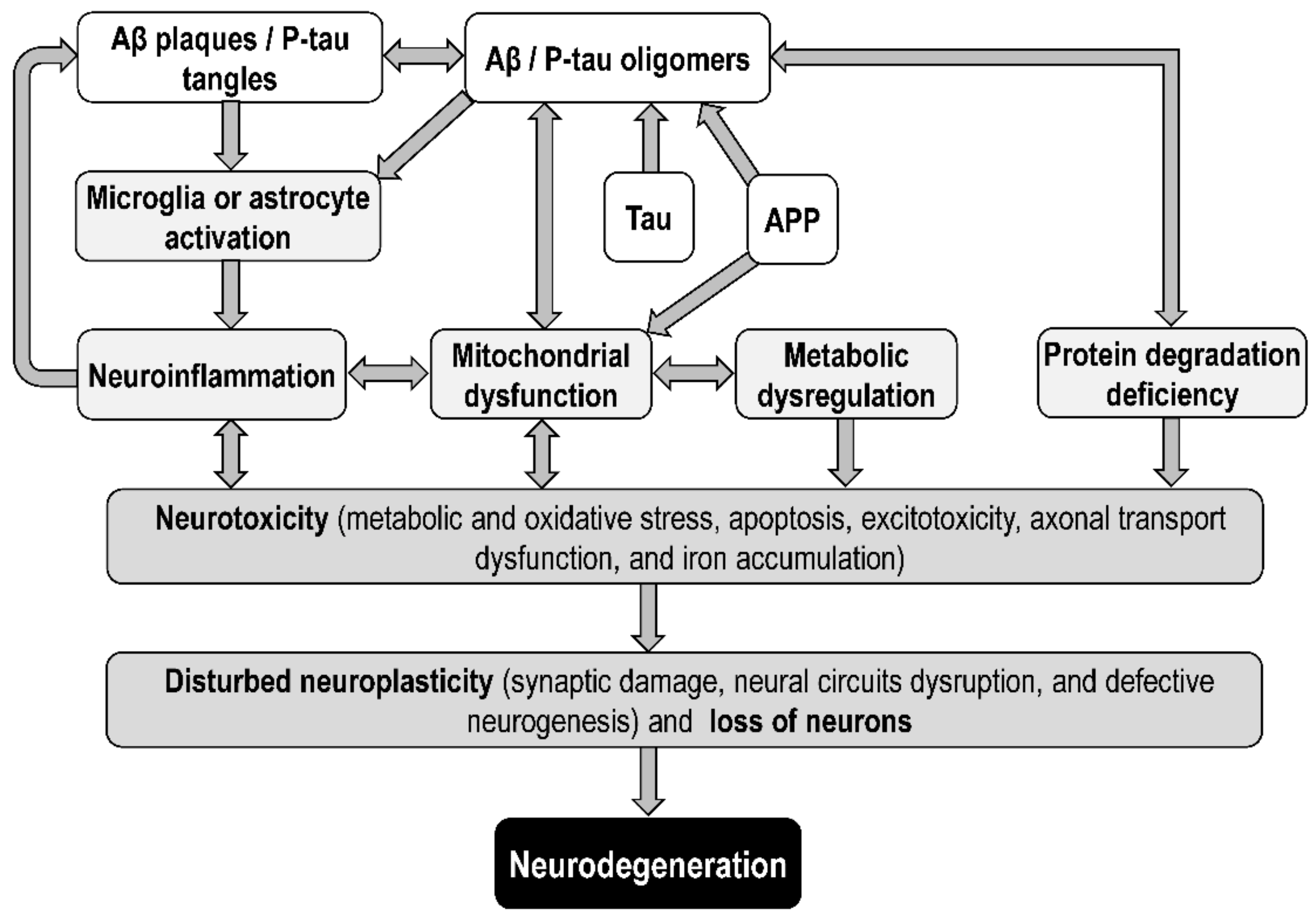 Biomolecules 12 01676 g003 Biomolecules 12 01676 g003