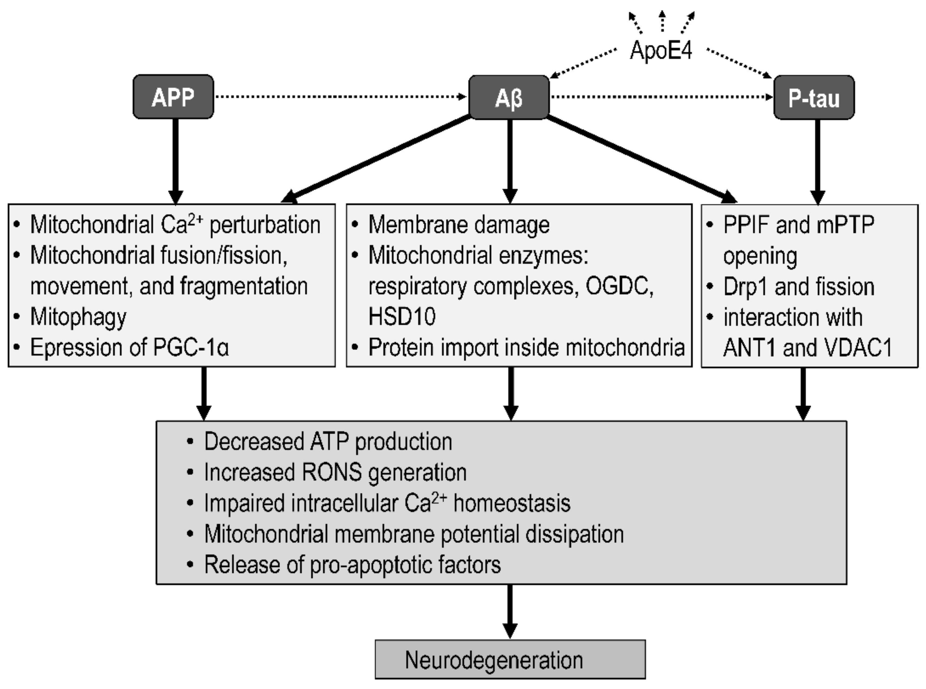 Biomolecules 12 01676 g008 Biomolecules 12 01676 g008