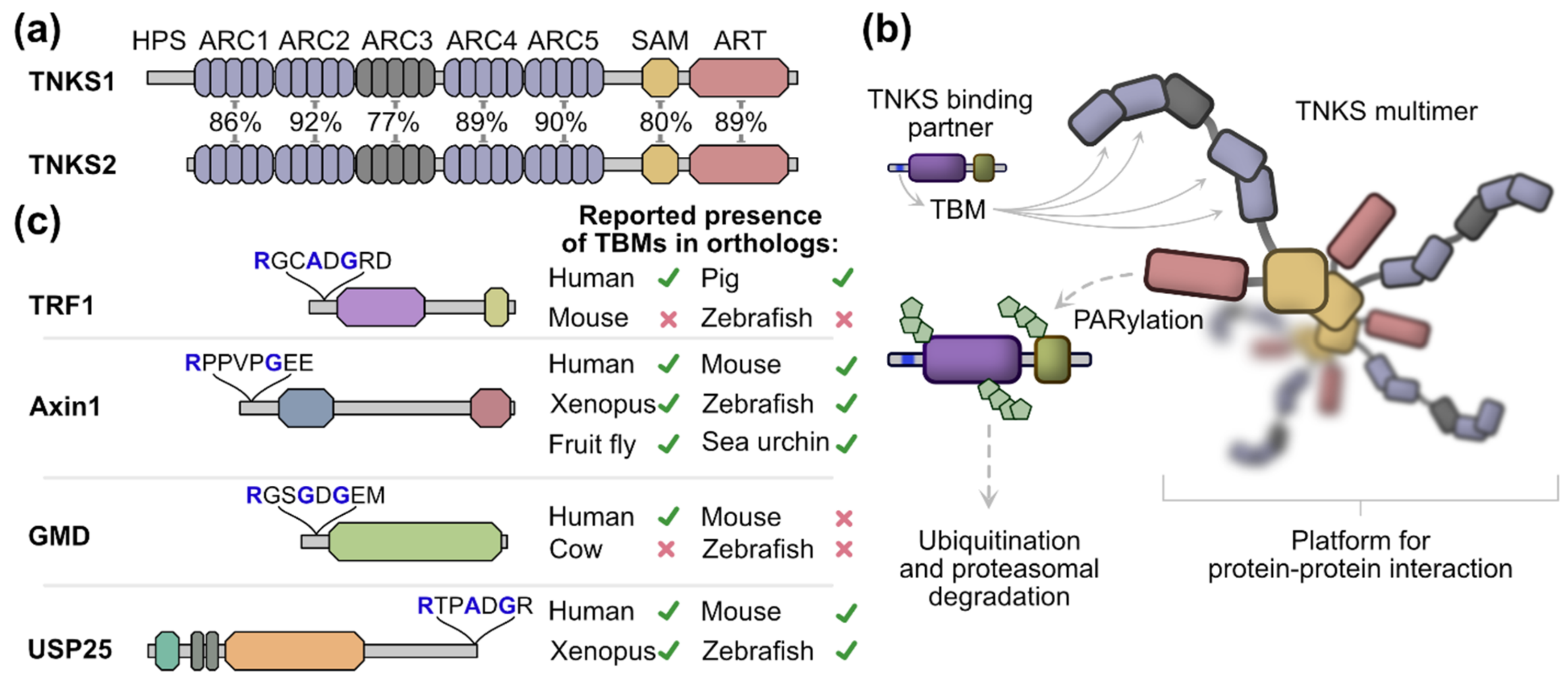 Biomolecules 12 01688 g001 Biomolecules 12 01688 g001