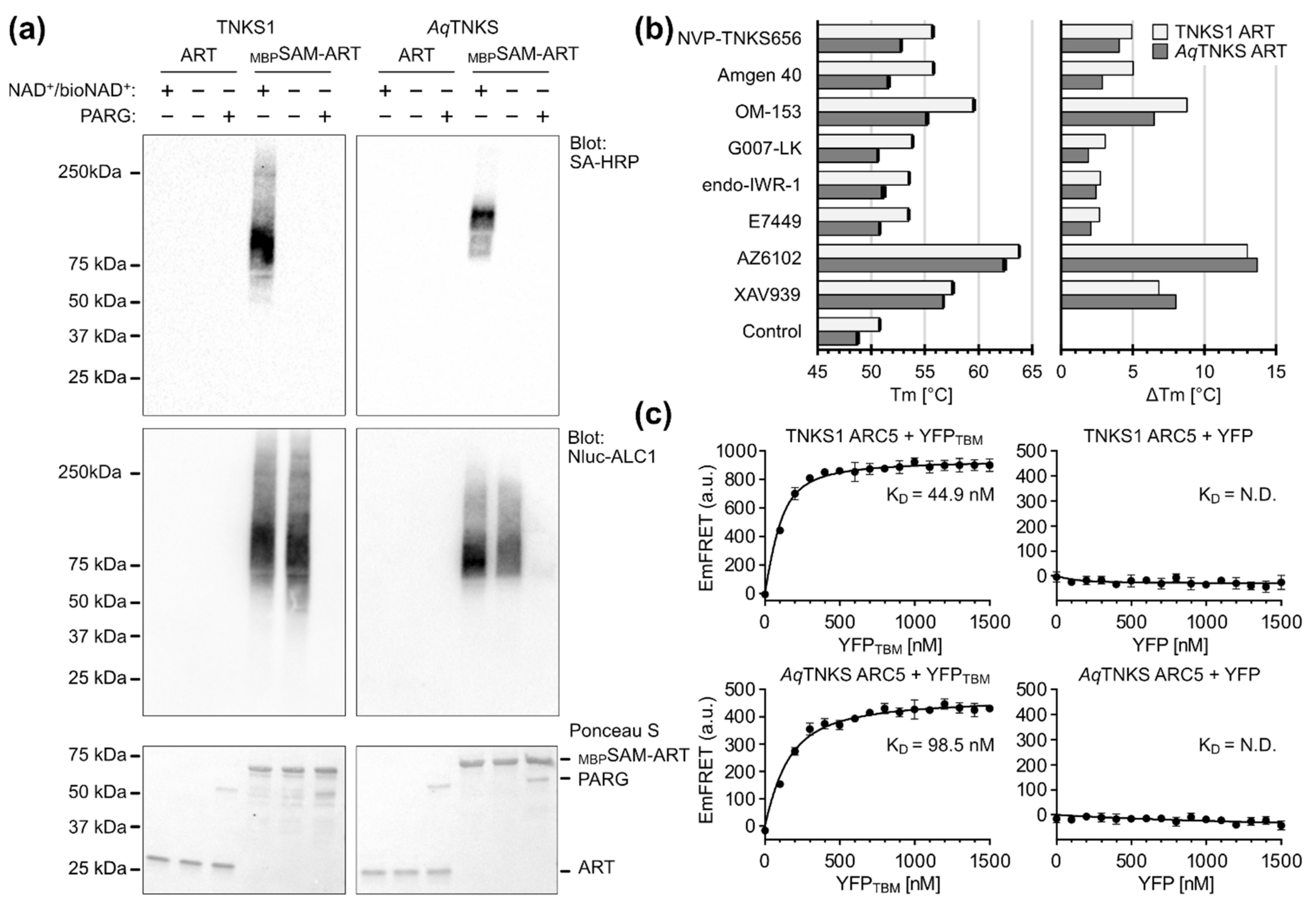 Biomolecules 12 01688 g005 Biomolecules 12 01688 g005