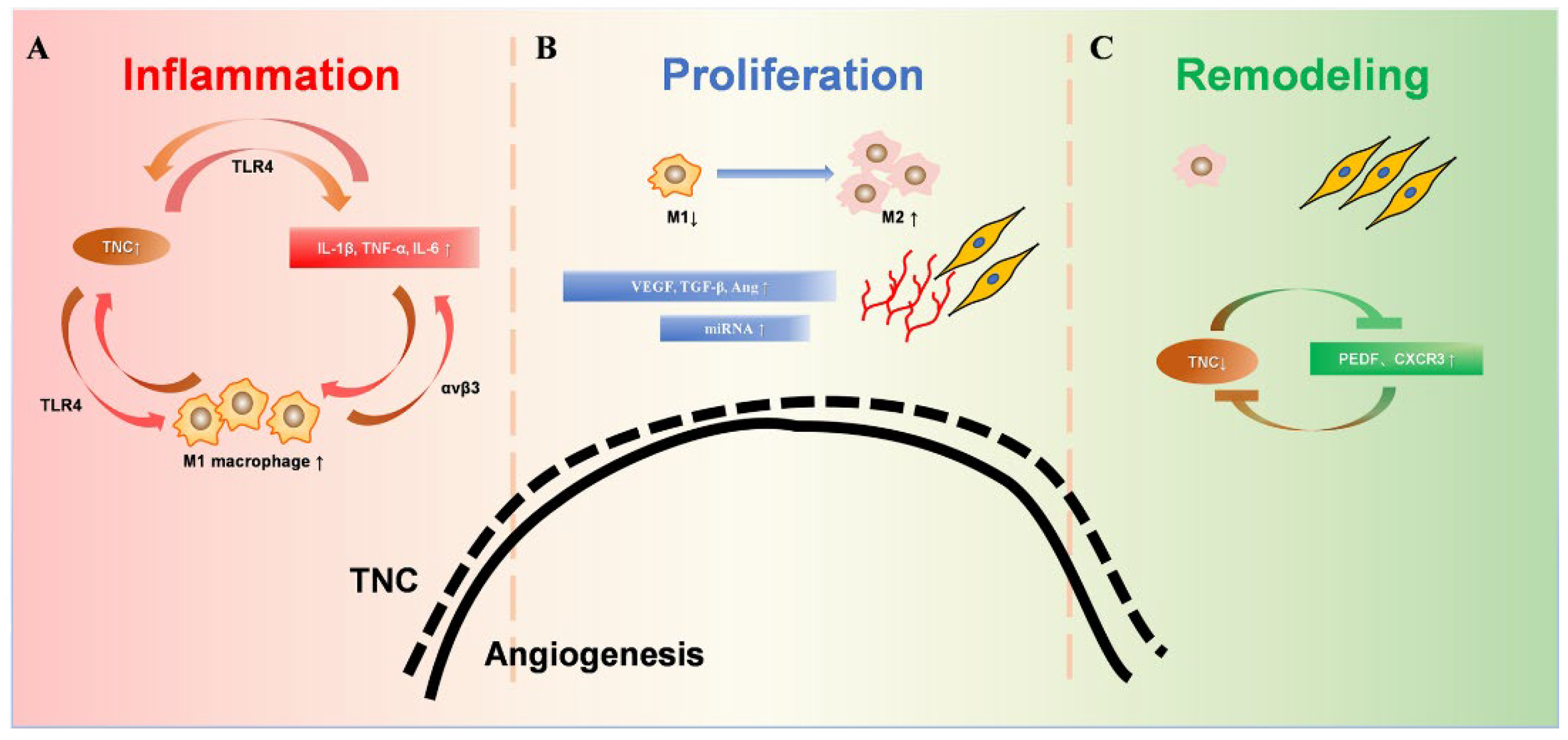Biomolecules 12 01689 g002