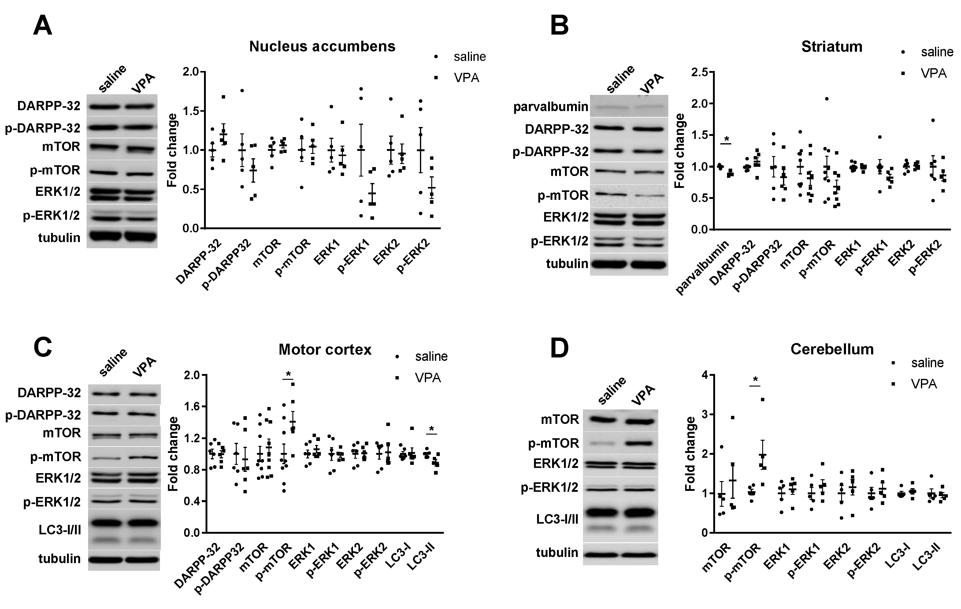 Biomolecules 12 01691 g005 Biomolecules 12 01691 g005