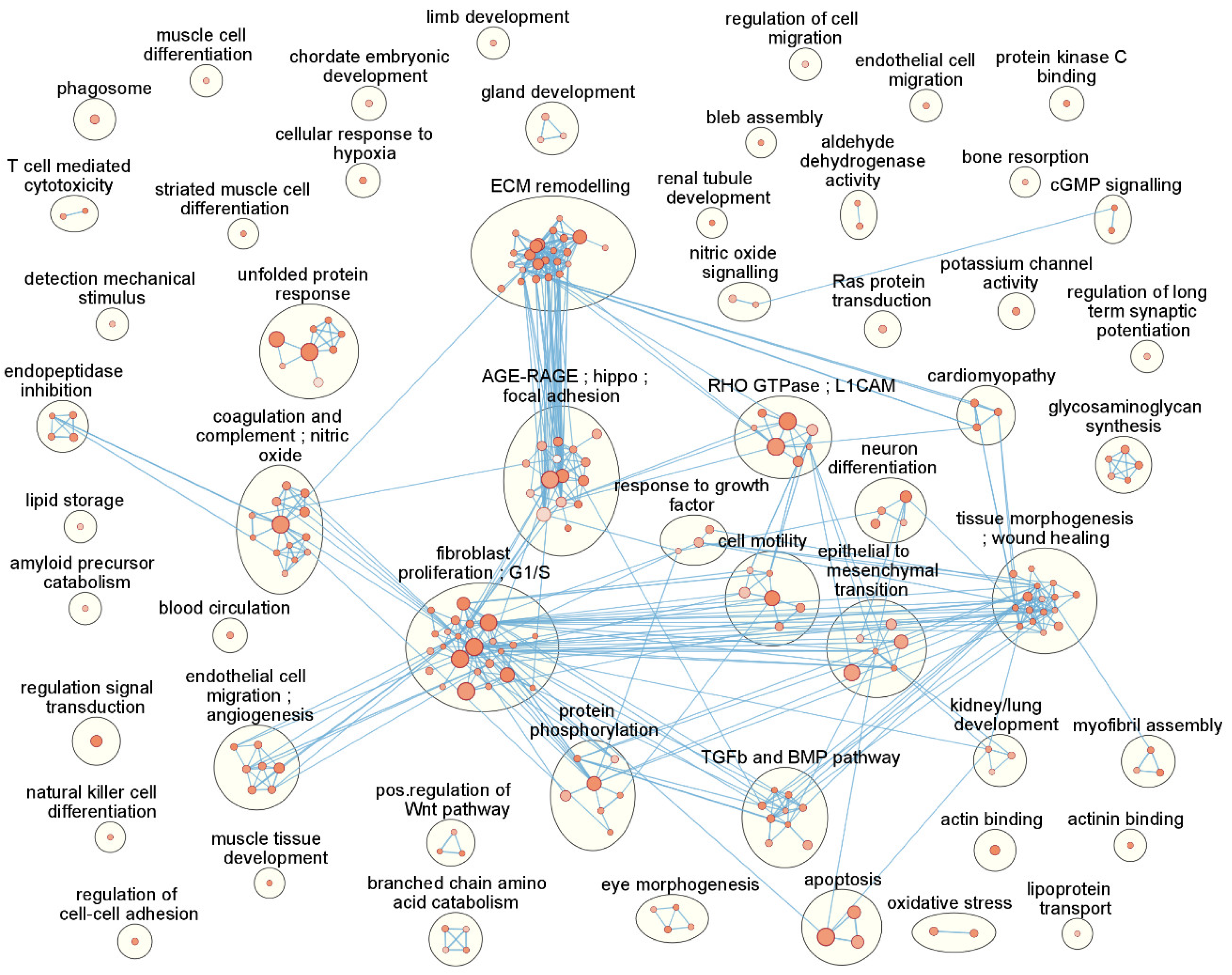 Biomolecules 12 01693 g003