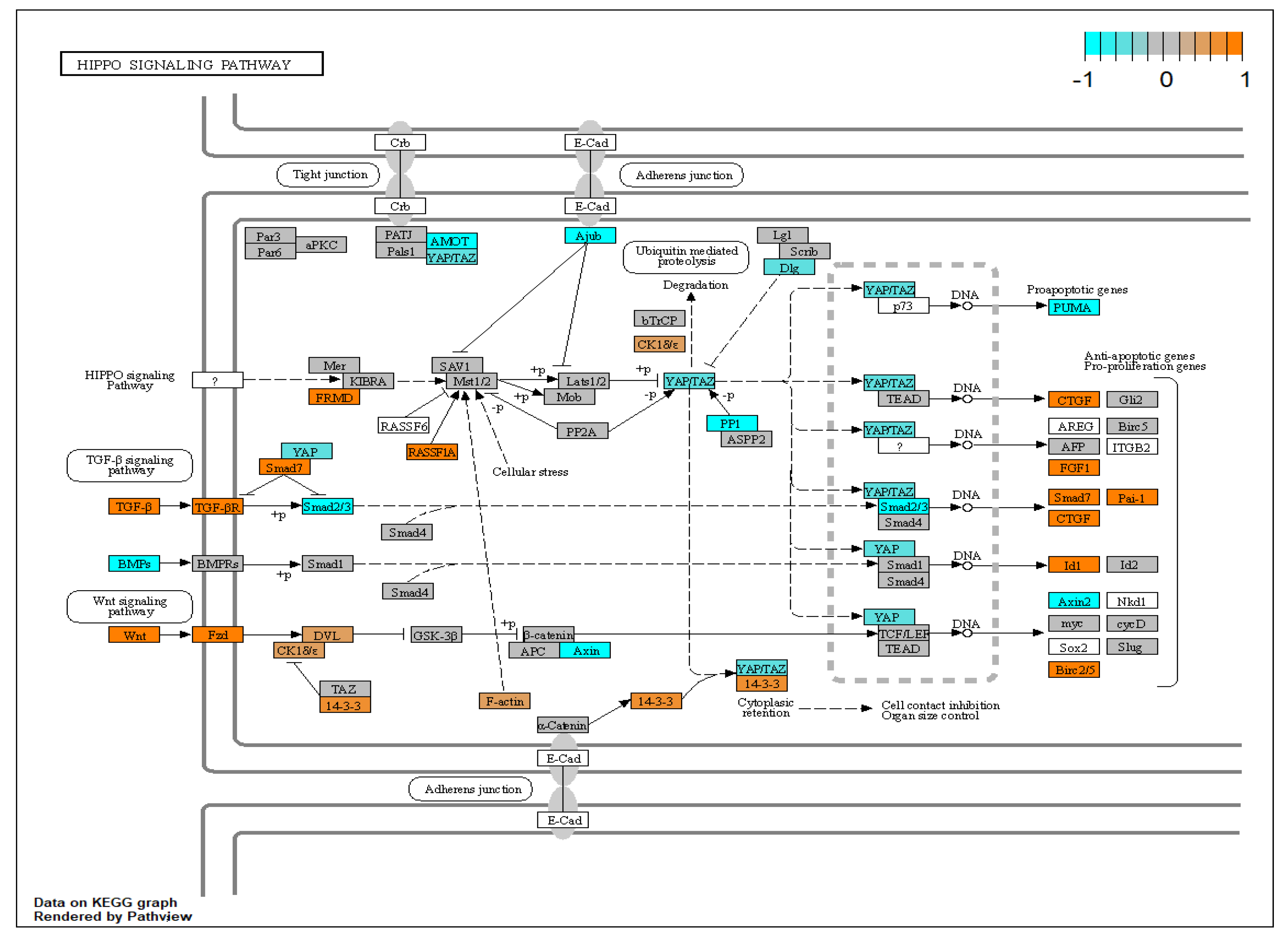 Biomolecules 12 01693 g010
